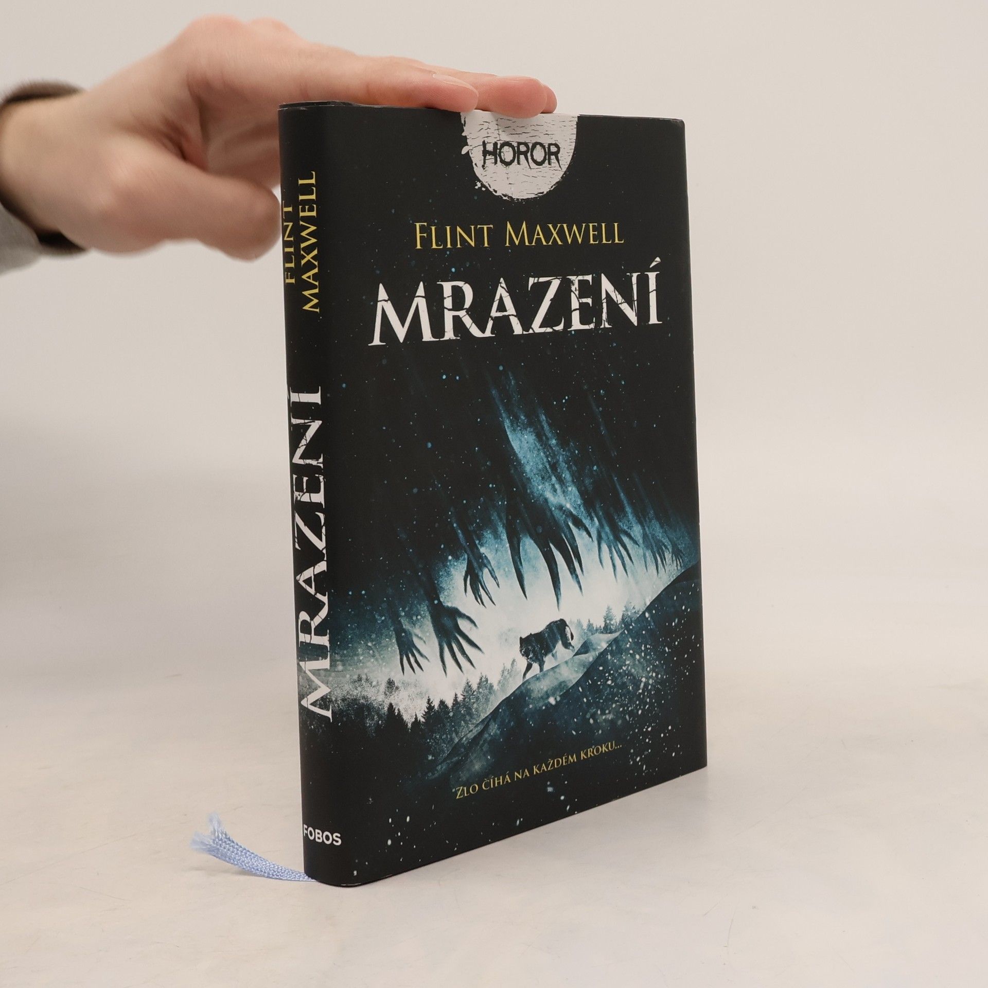 Flint Maxwell Mrazení