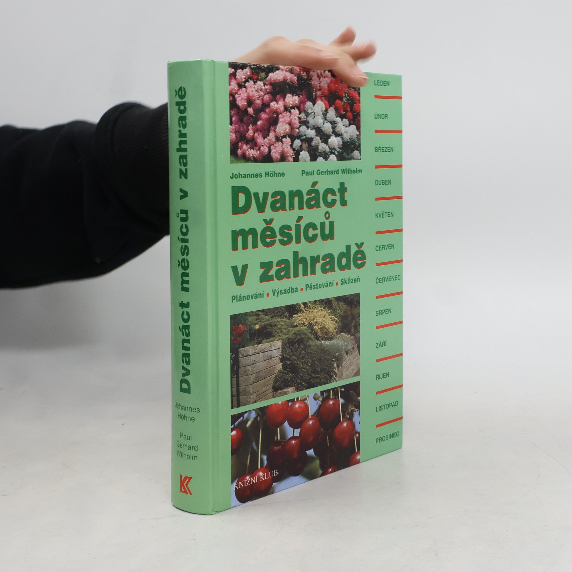 Johannes Höhne Dvanáct měsíců v zahradě. Plánování, výsadba, pěstování, sklizeň