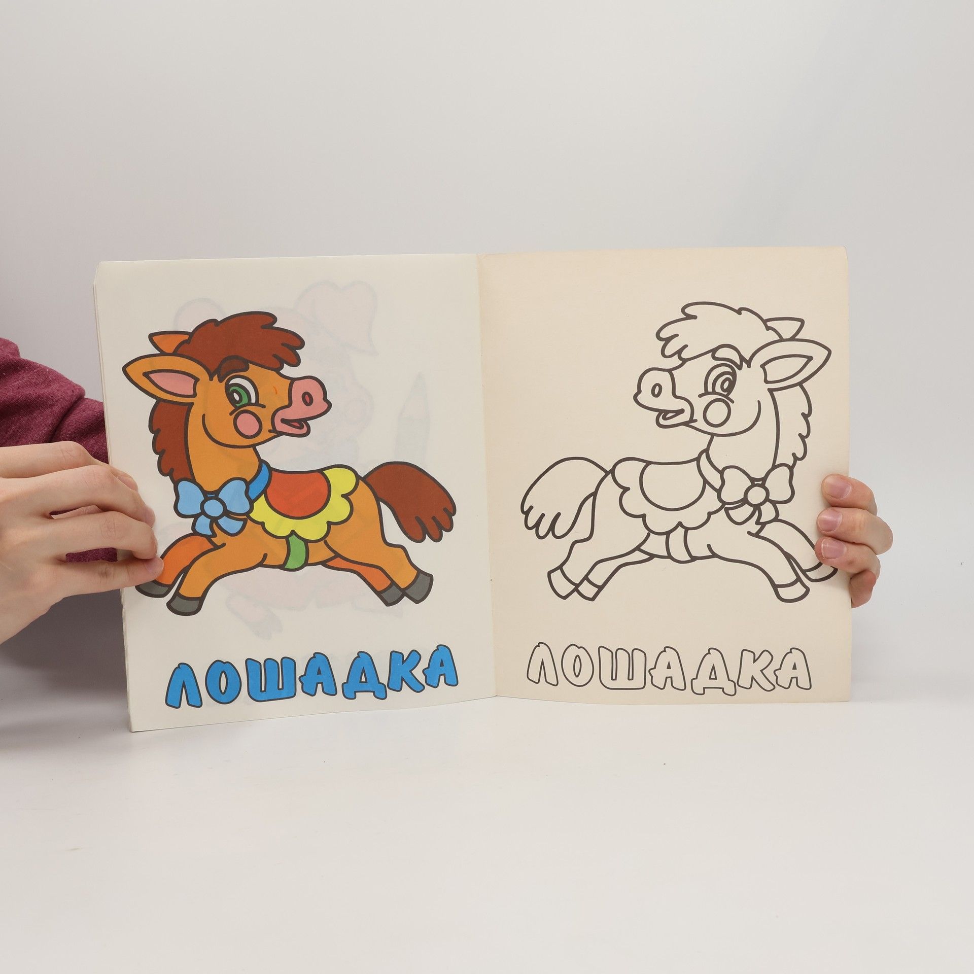 Kolektiv autorů Нарисуй, обведи, раскрась