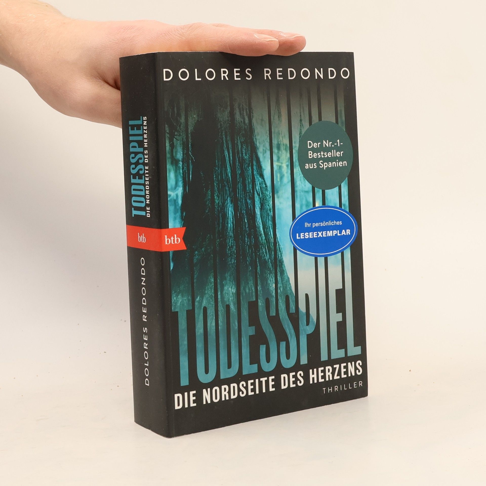 Dolores Redondo Todesspiel. Die Nordseite des Herzens