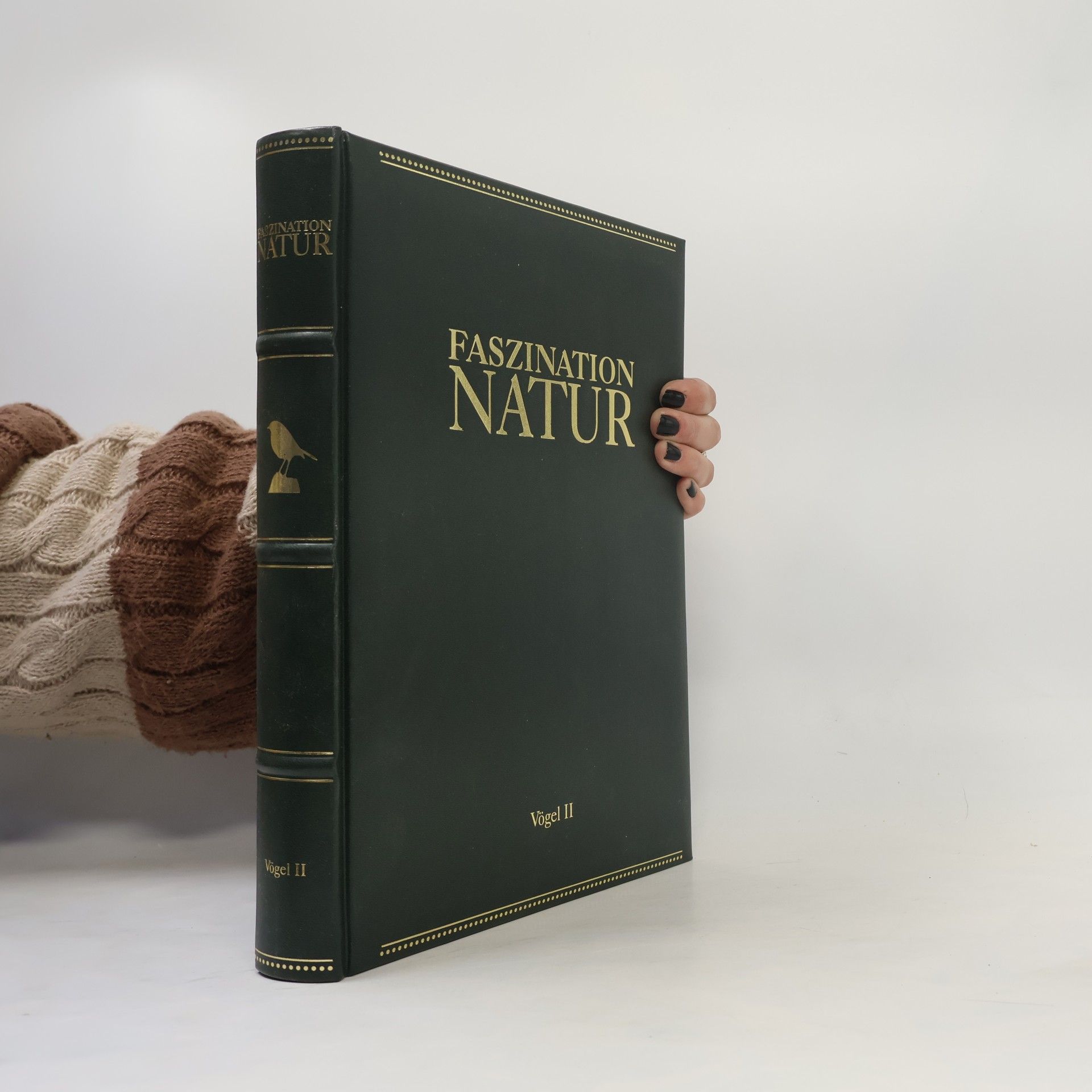 Autorenkollektiv Faszination Natur. Vögel II.