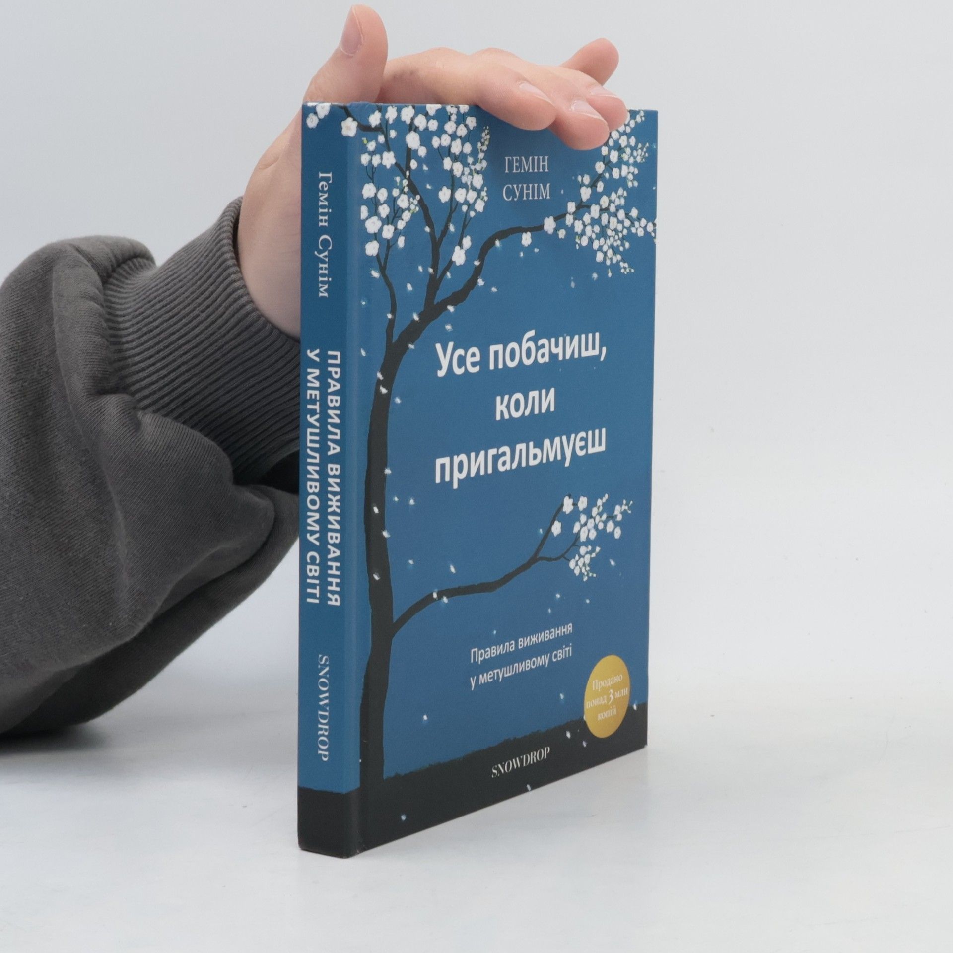 Gemin Sunim Усе побачиш, Коли пригальмуєш