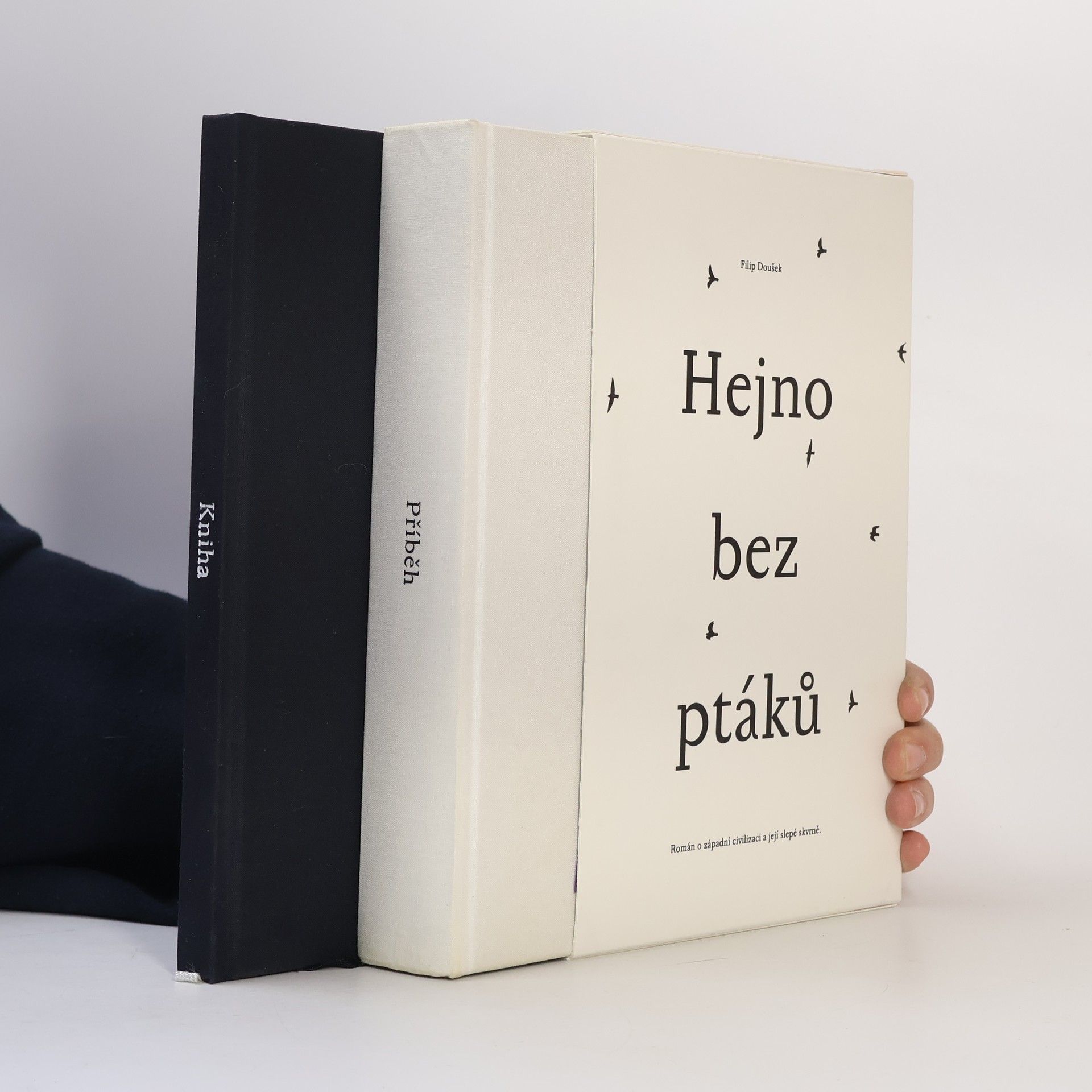 Filip Doušek Hejno bez ptáků