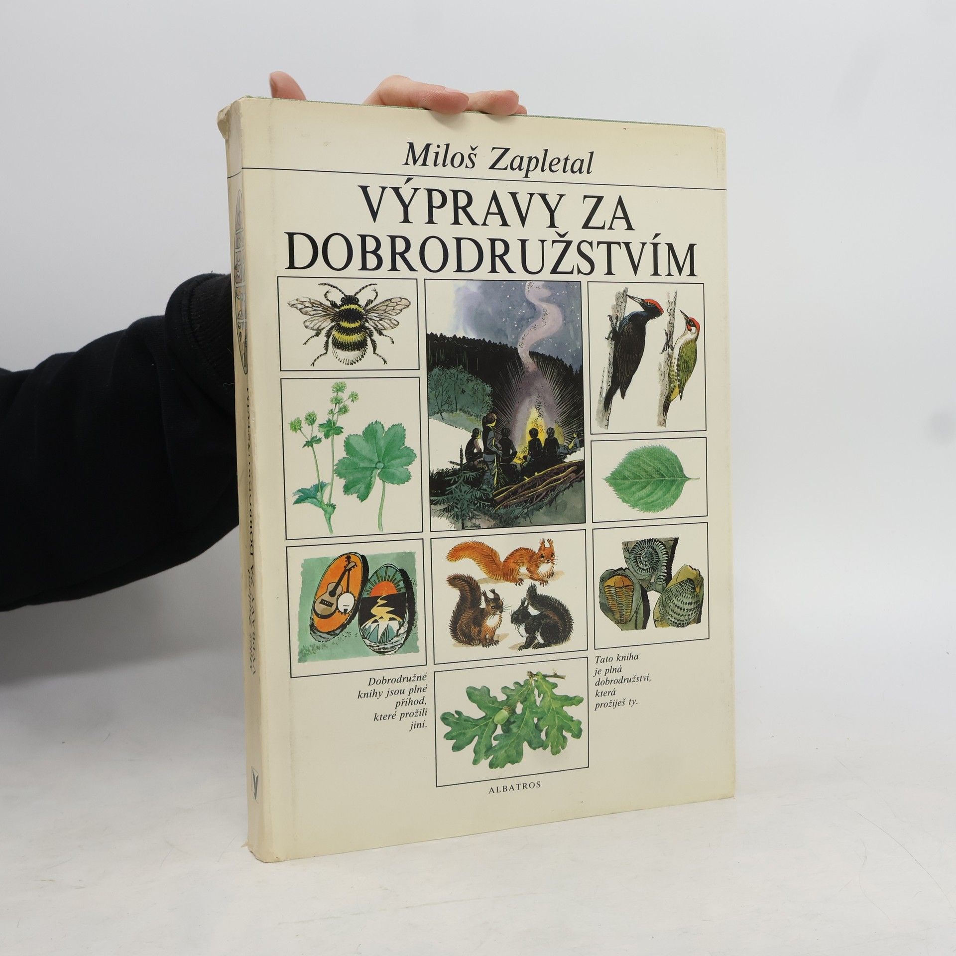 Výpravy za dobrodružstvím