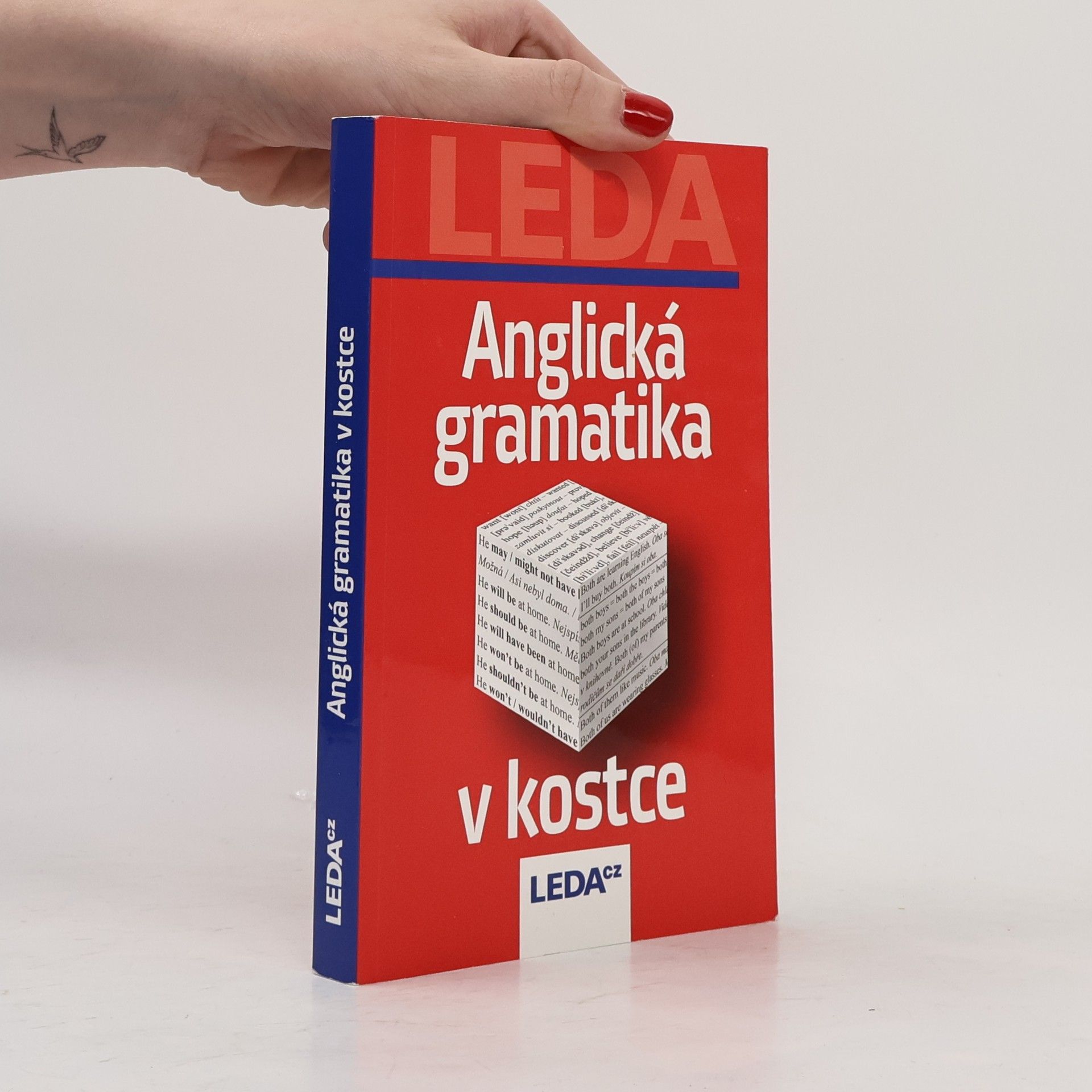 Autorenkollektiv Anglická gramatika v kostce