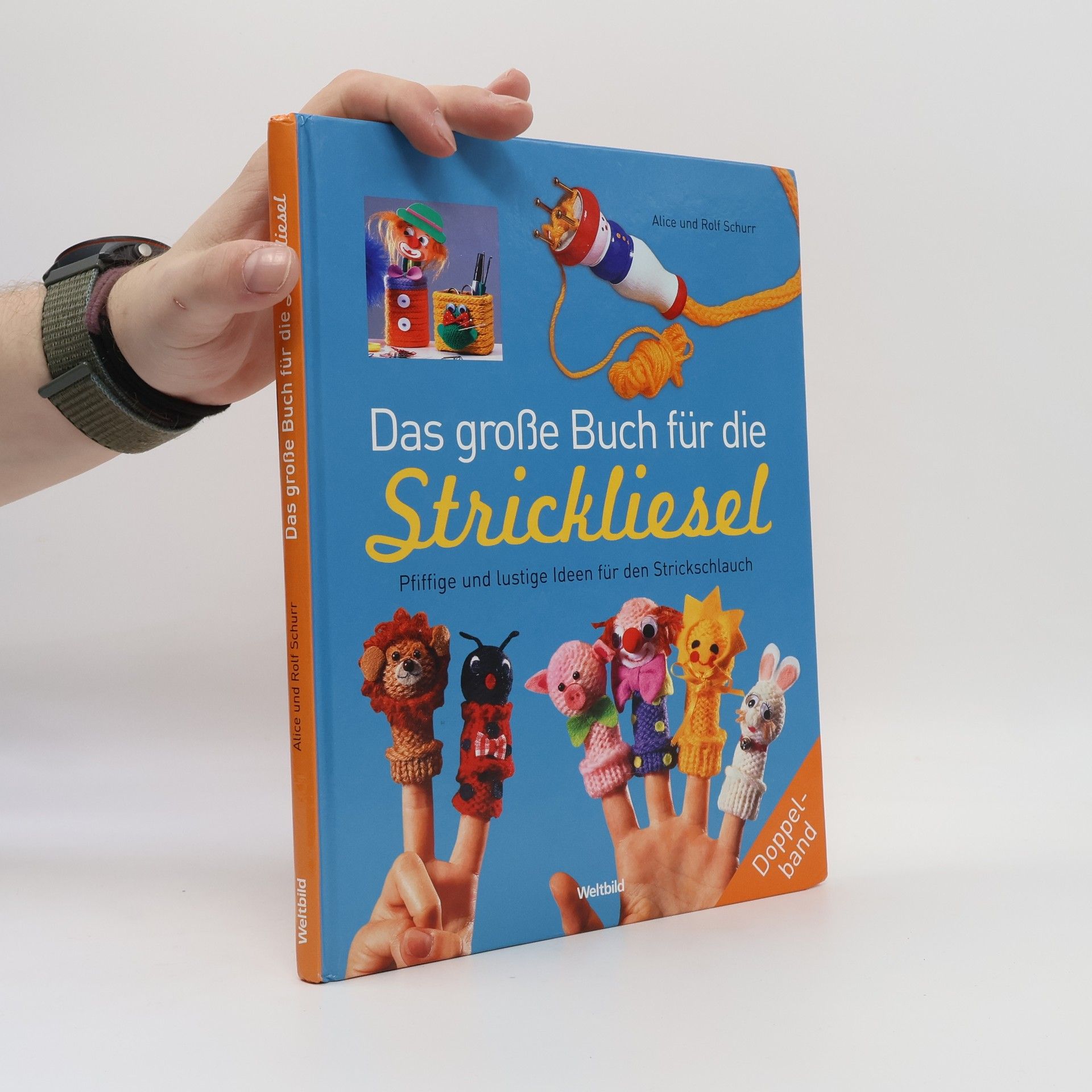 Rolf Schurr Das große Buch für die Strickliesel