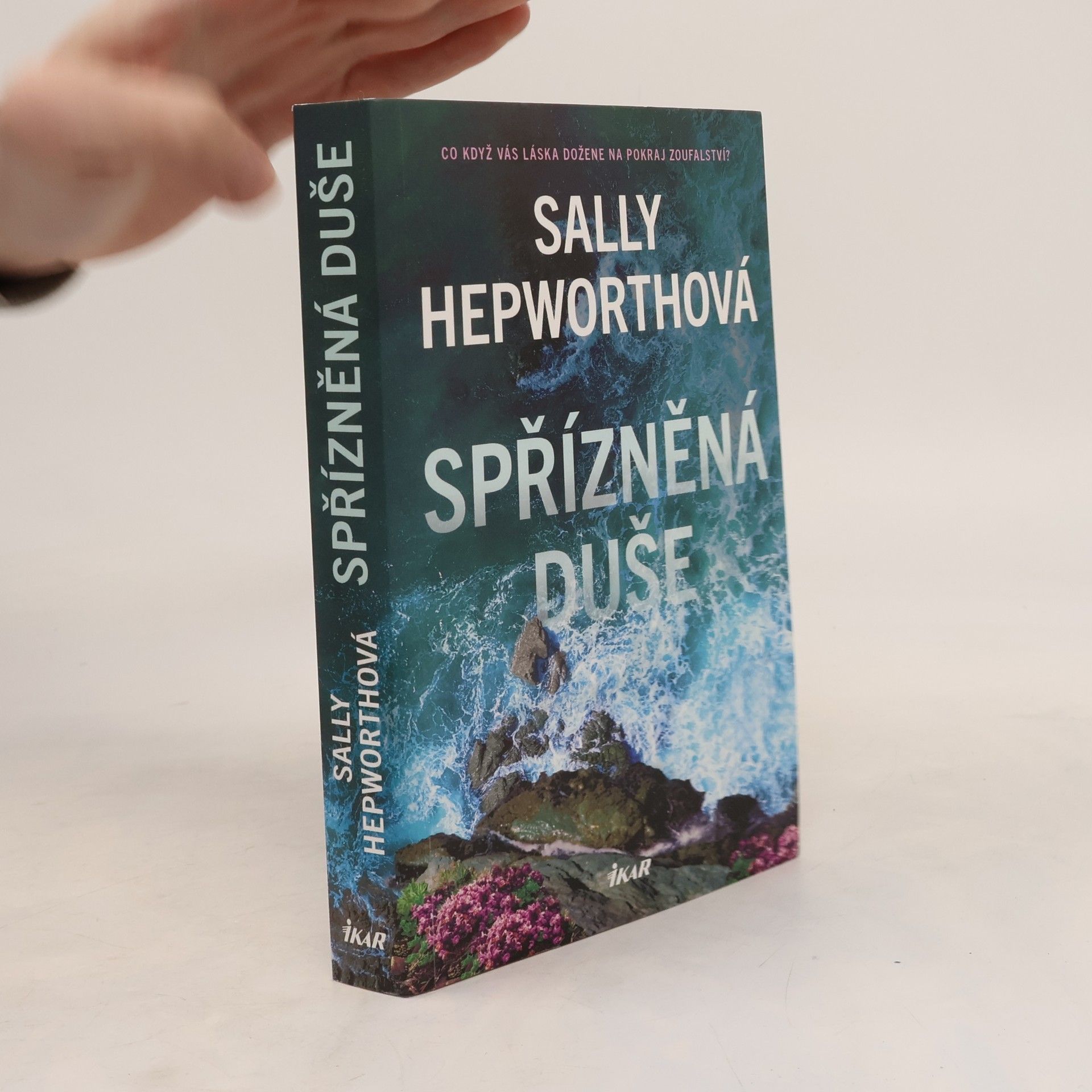 Spřízněná duše