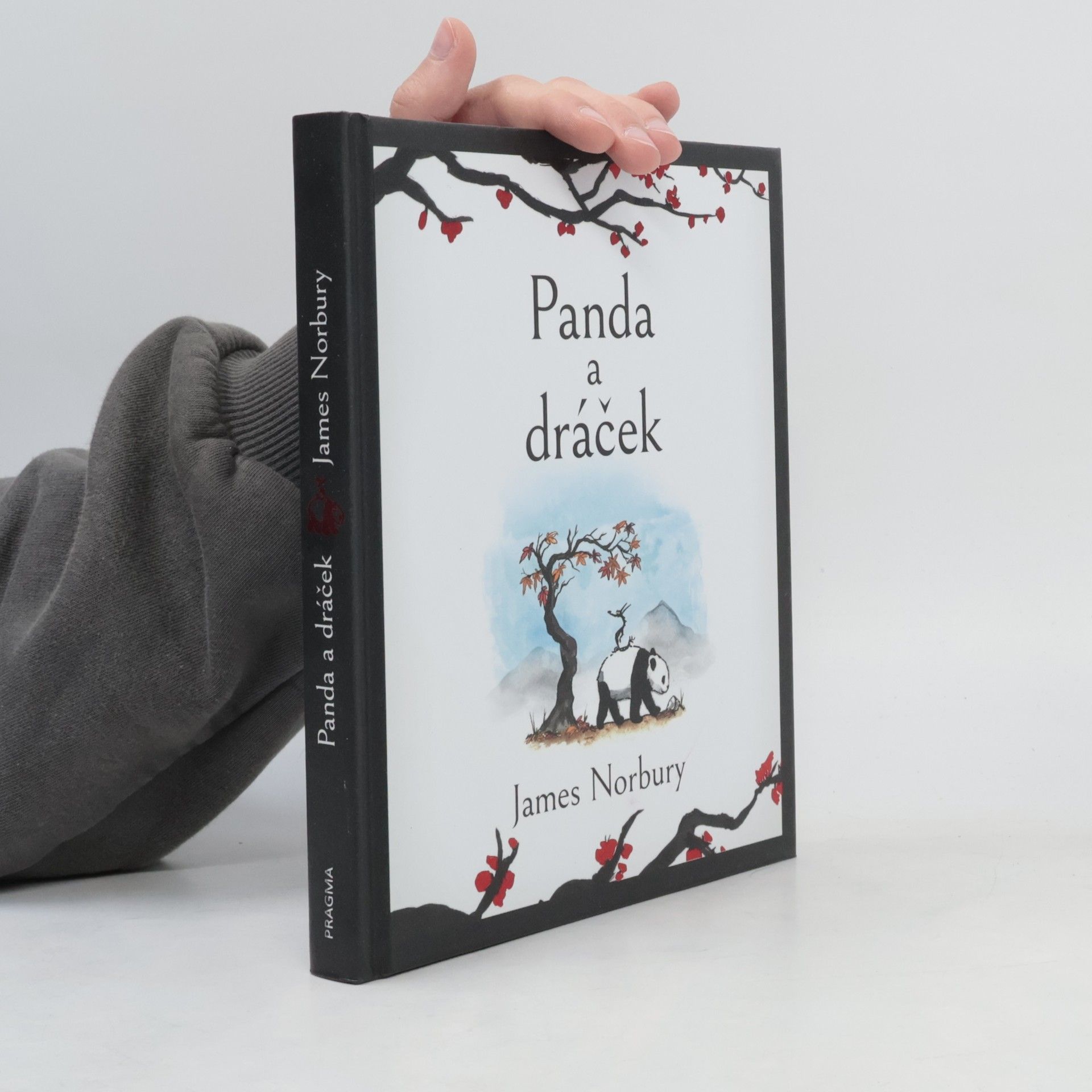 James Norbury Panda a dráček