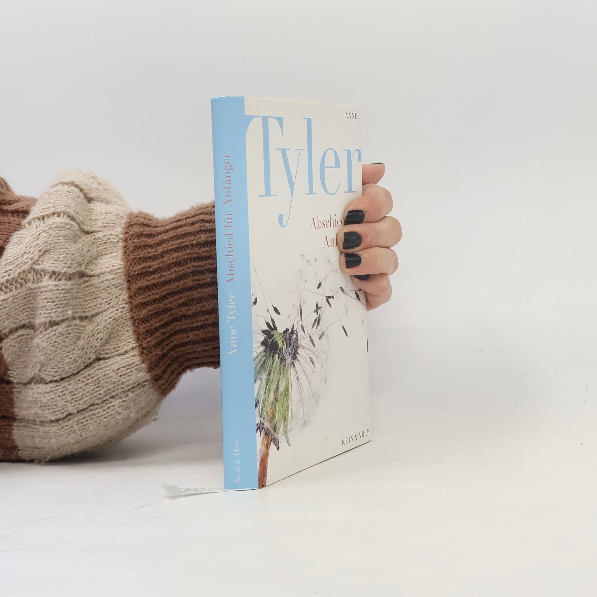 Anne Tyler Abschied für Anfänger