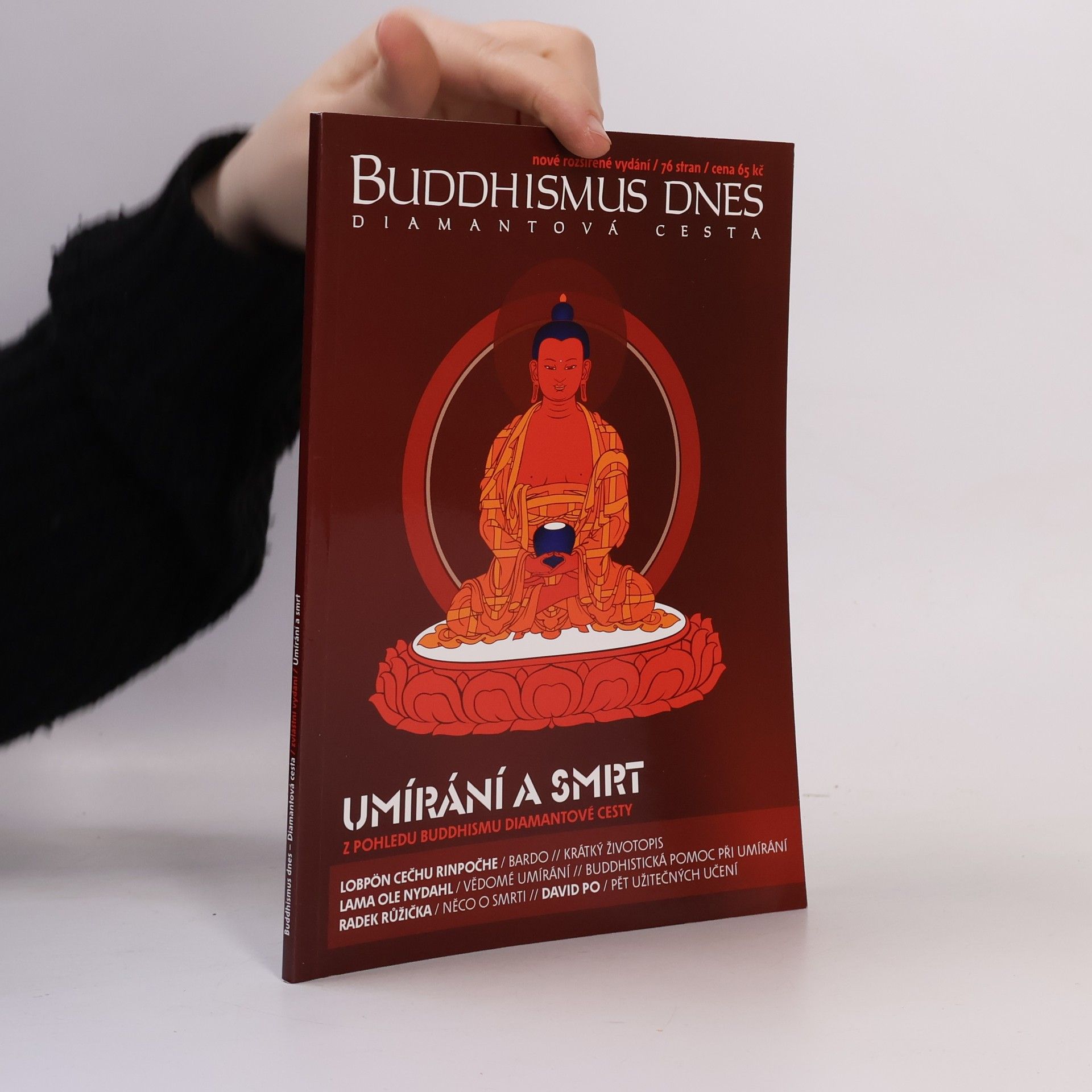 Kolektiv autorů Buddhismus dnes - diamantová cesta. Umírání a smrt