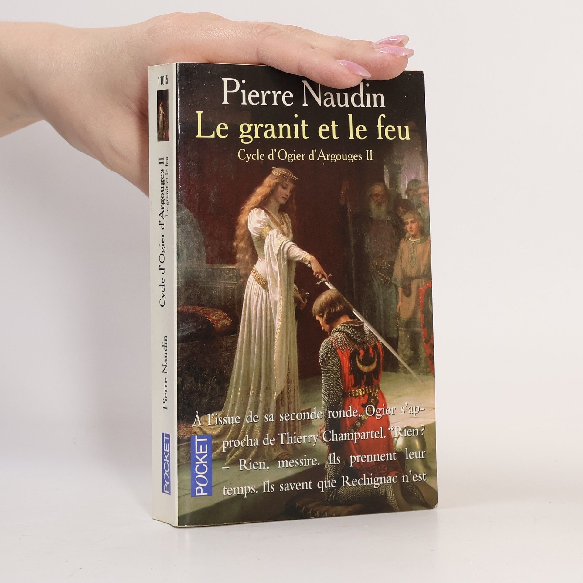 Cycle d'Ogier d'Argouges - 2: Le granit et le feu