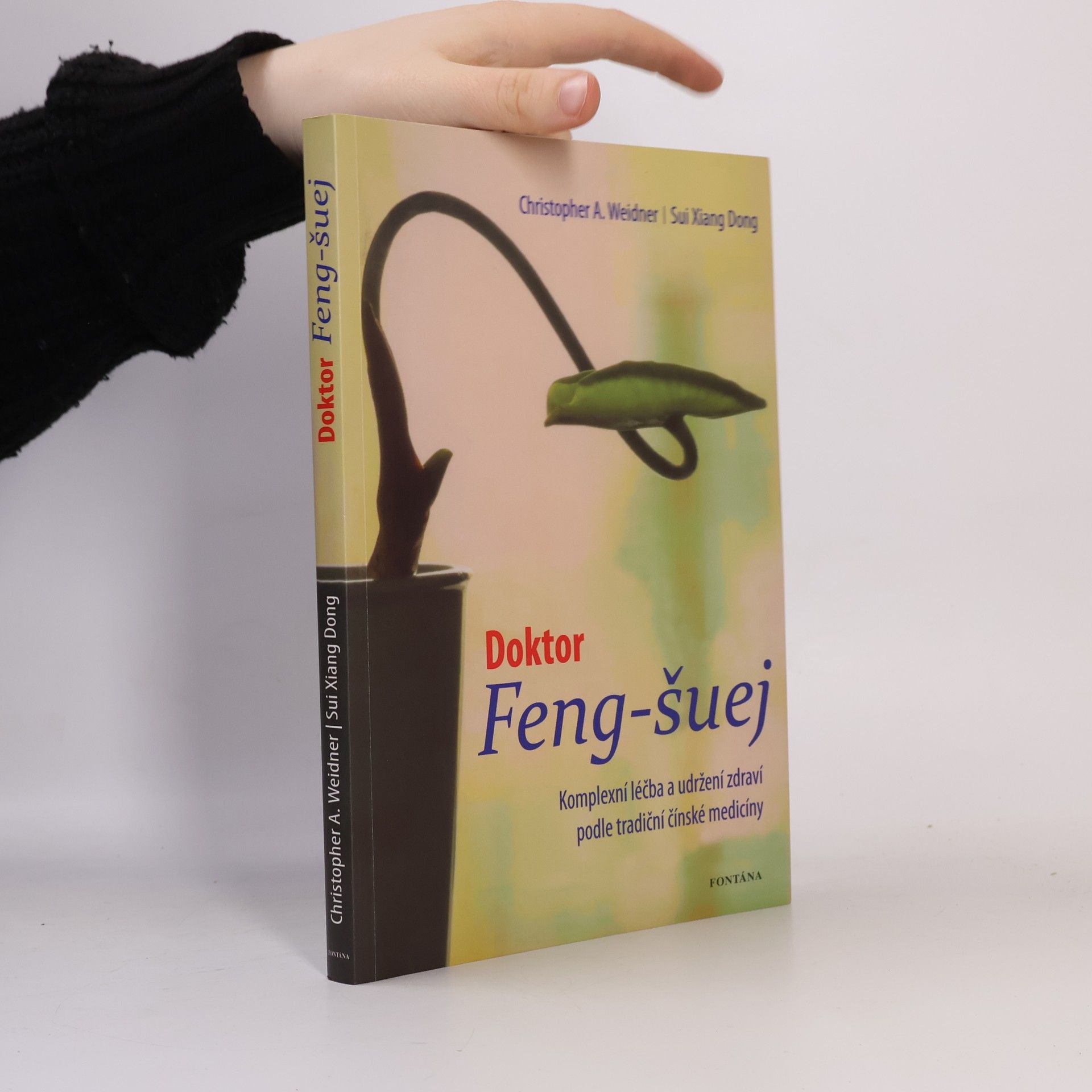 Xiangdong Sui Doktor Feng-šuej: komplexní léčba a udržení zdraví podle tradiční čínské medicíny