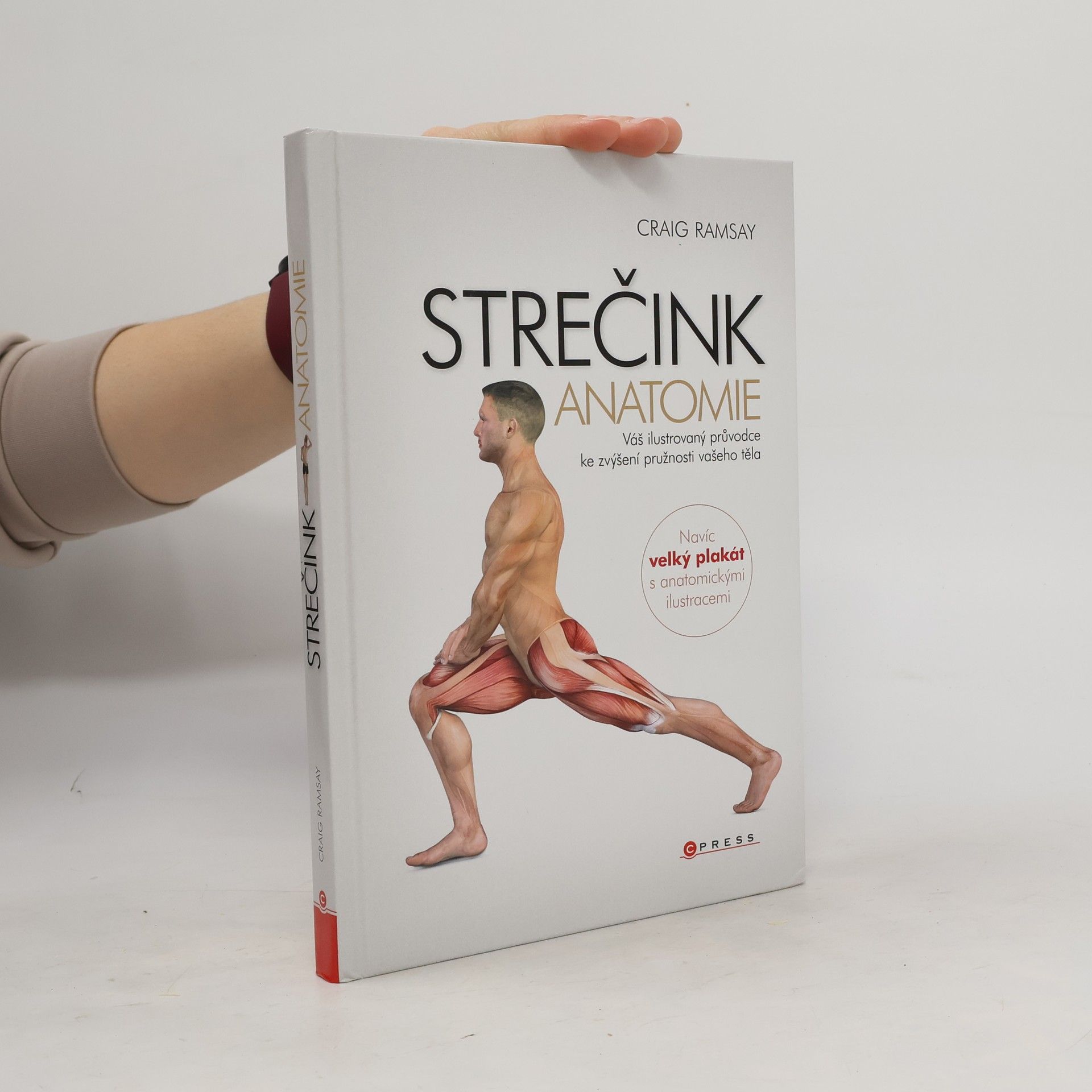 Strečink - anatomie