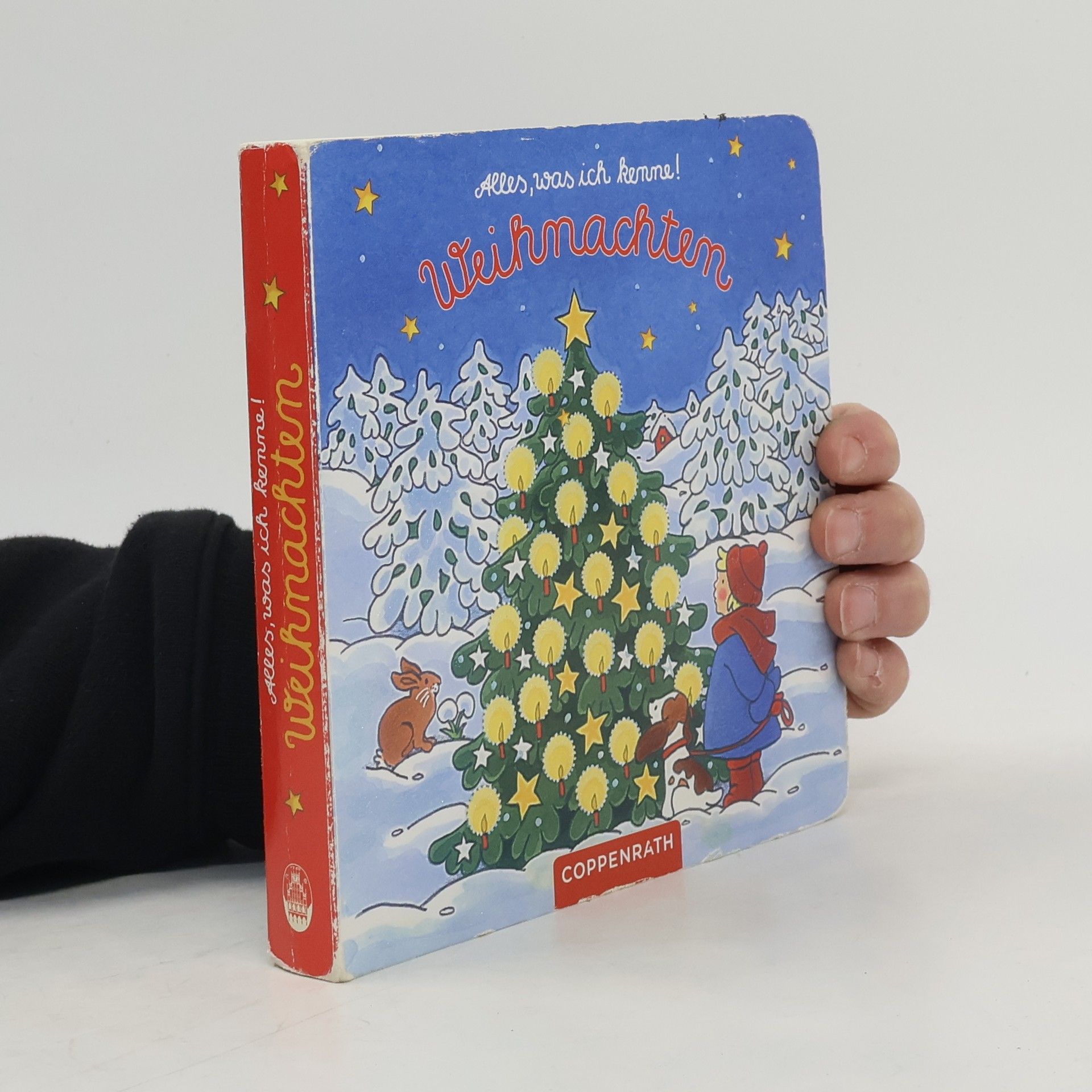 Regina Hufen Alles, was ich kenne! Weihnachten