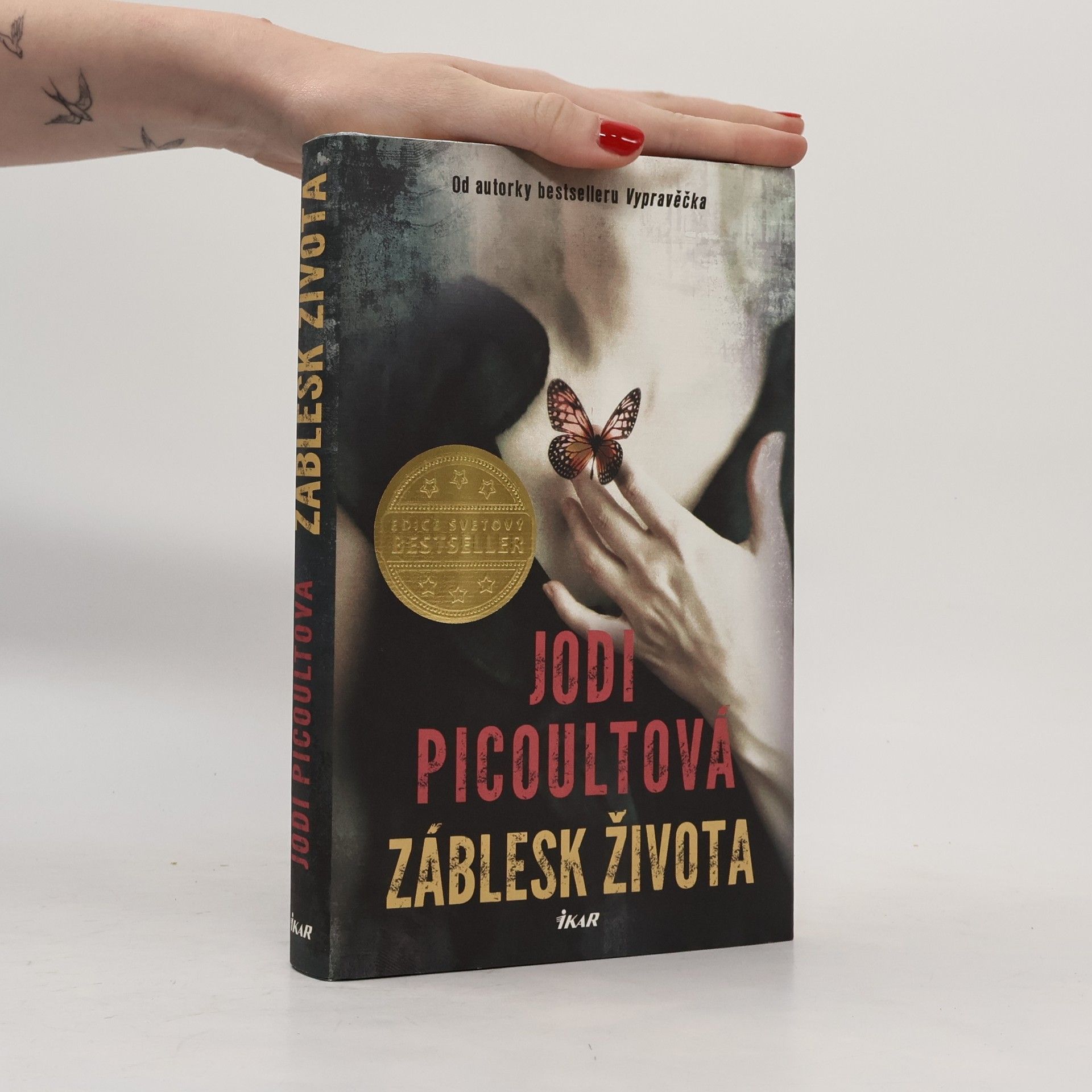 Jodi Picoult Záblesk života