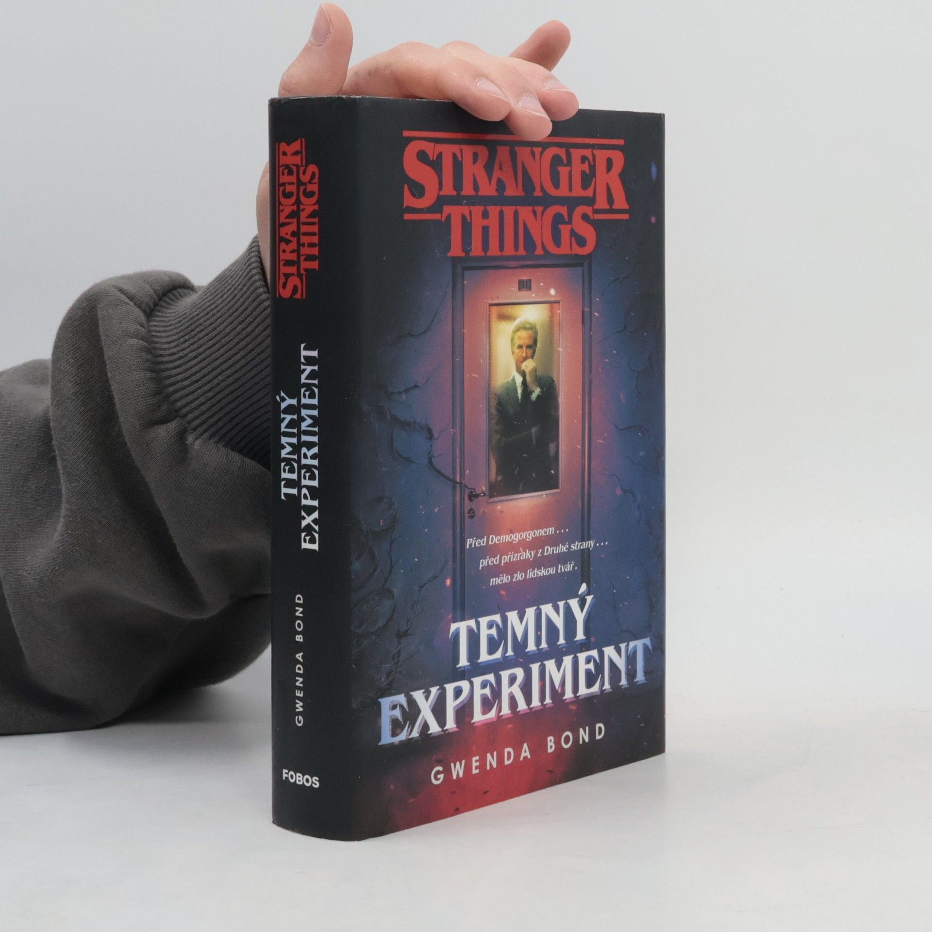 Gwenda Bond Stranger Things. Temný experiment
