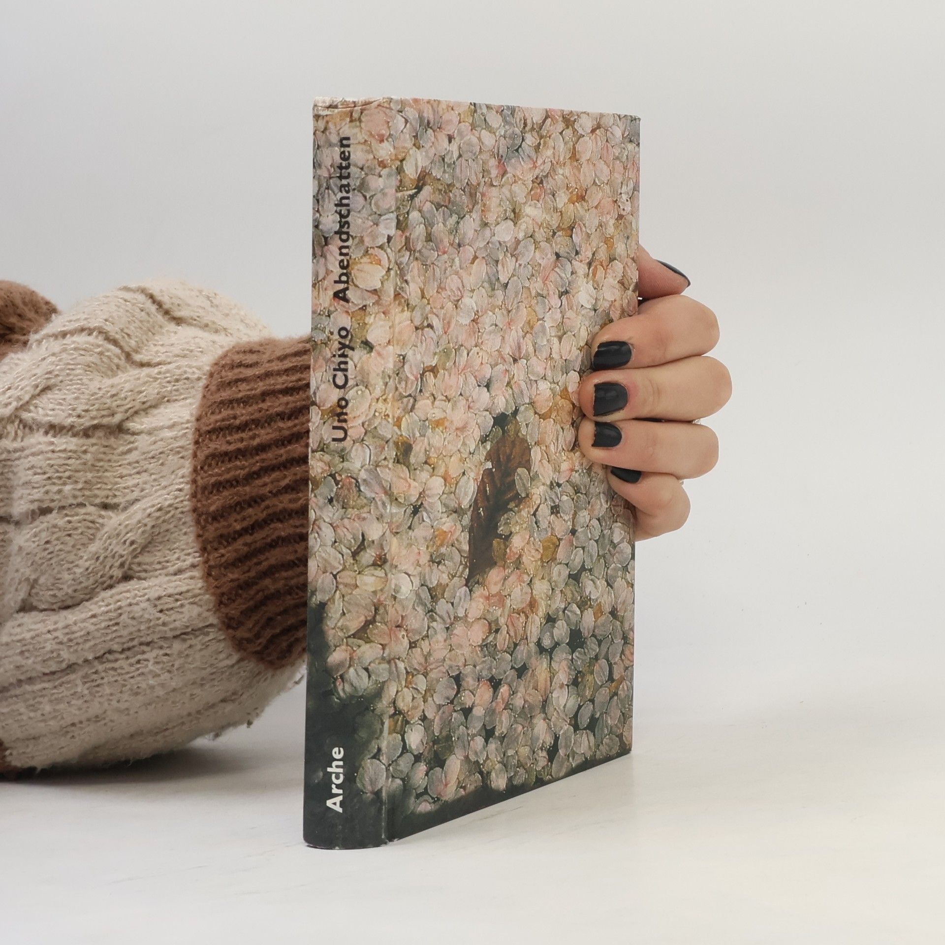 Uno Chiyo Abendschatten. Liebesbekenntnisse eines japanischen Malers. Roman