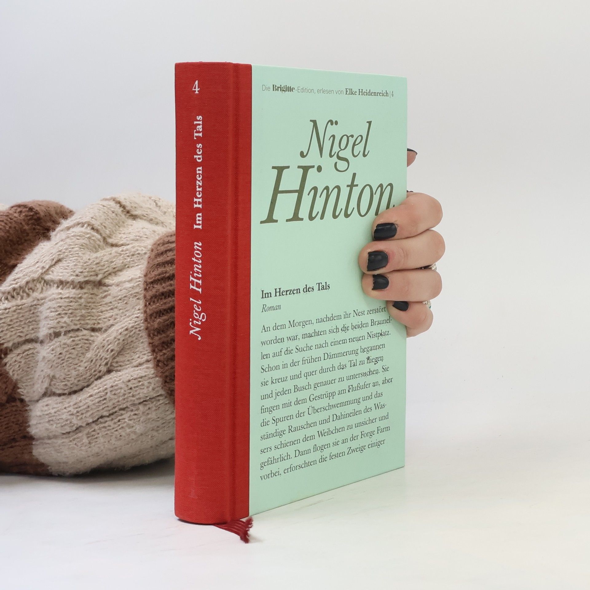 Nigel Hinton Im Herzen des Tals 4