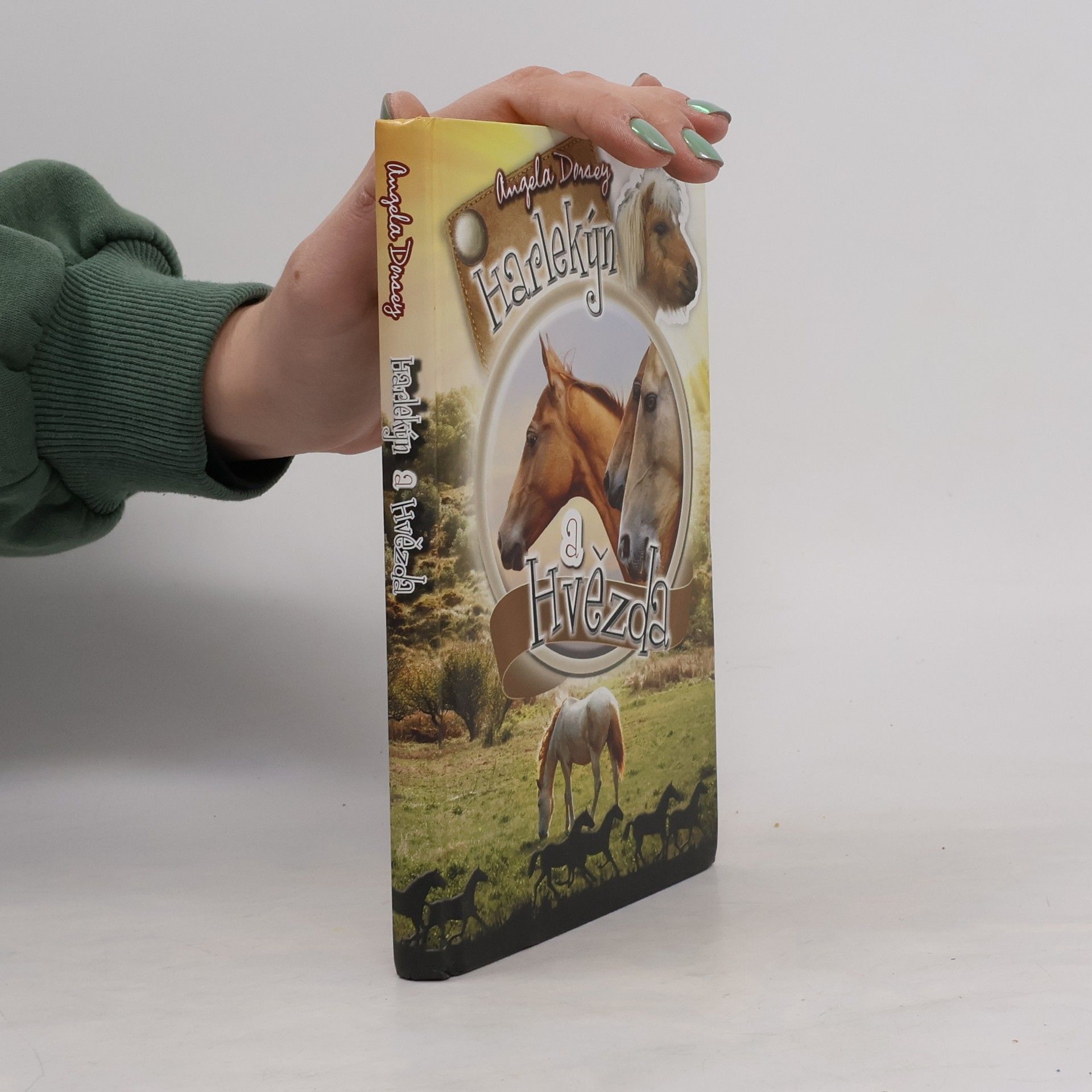 Angela Dorsey Harlekýn a Hvězda