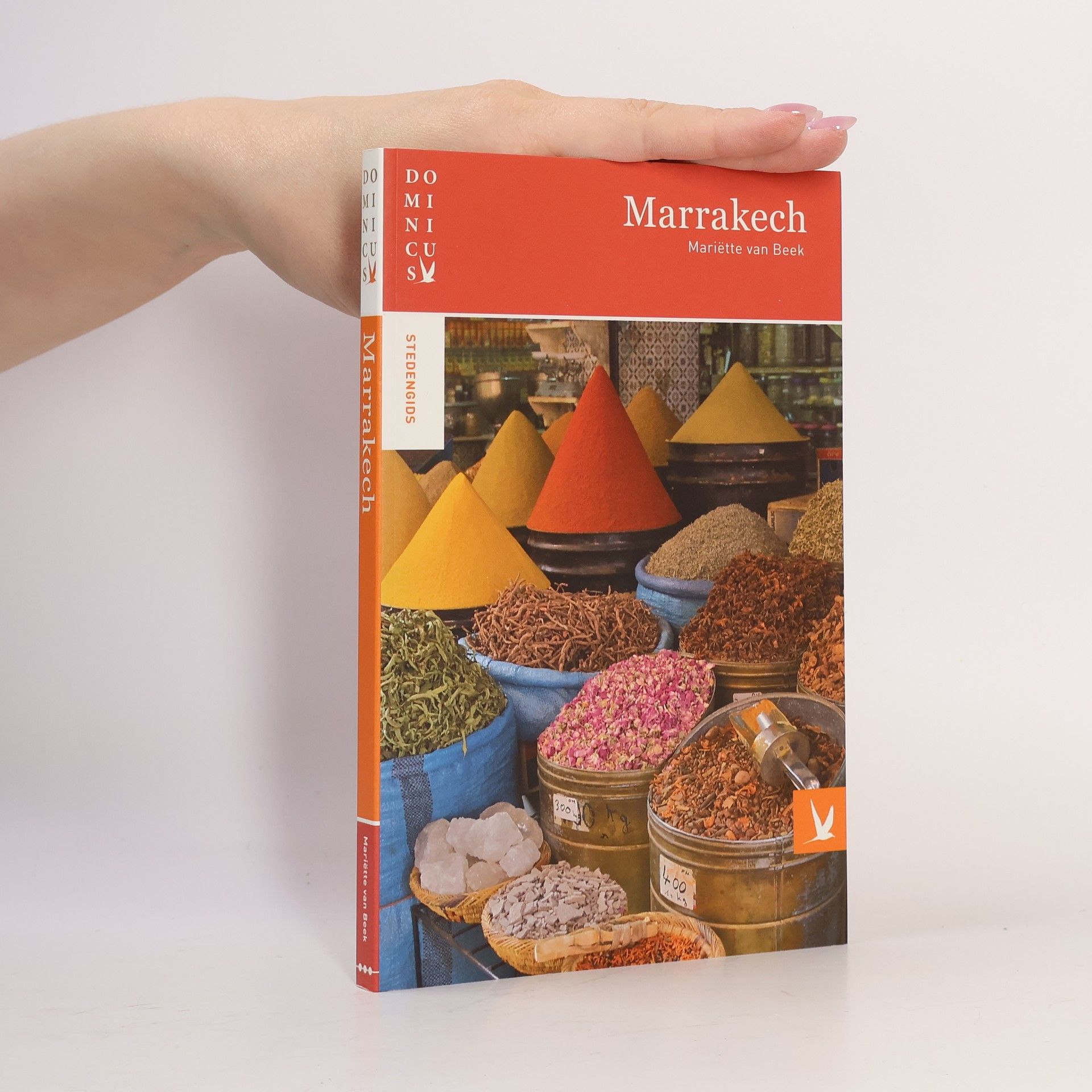 Maria Victoria Beek Dominicus stedengids: Marrakech