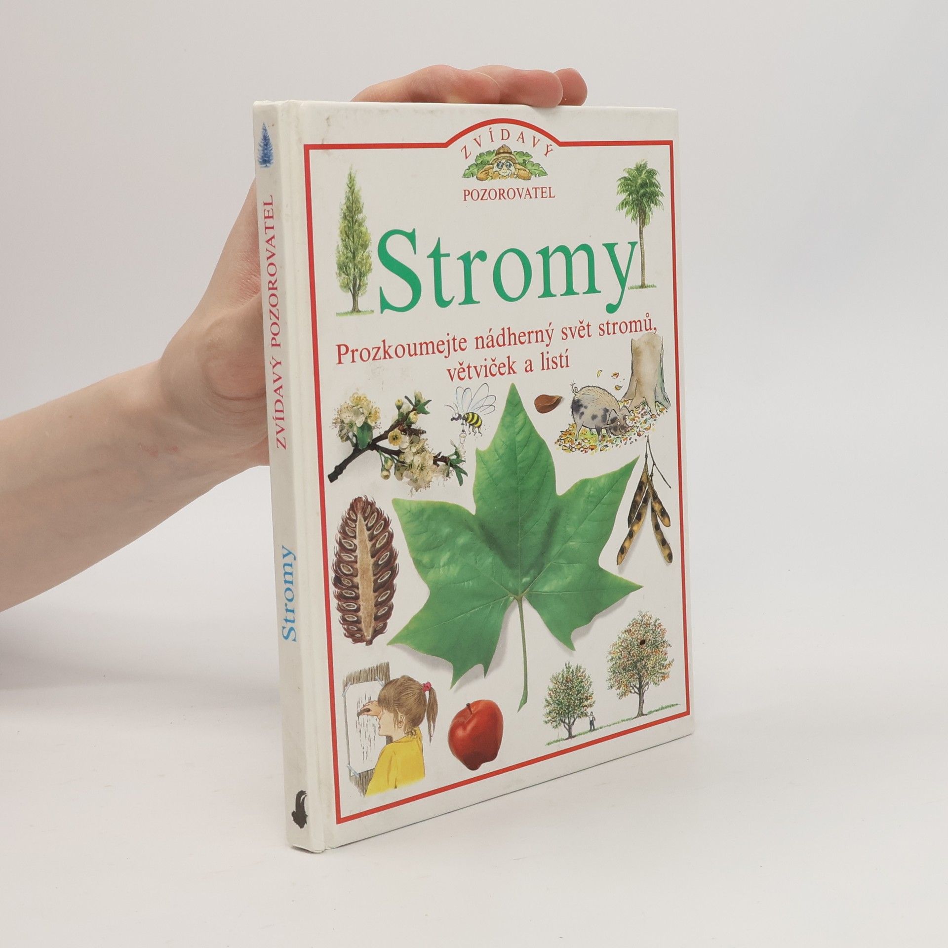Linda Gamlin Stromy