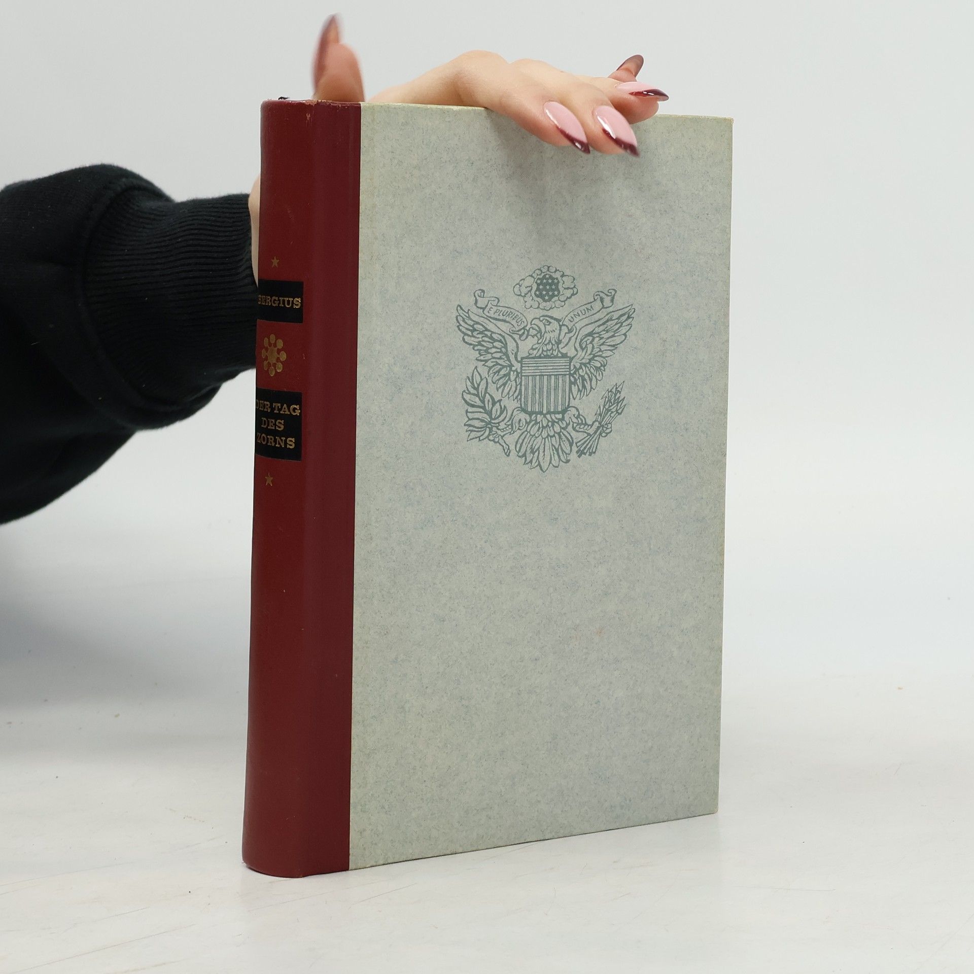 C. C. Bergius Der Tag des Zorns