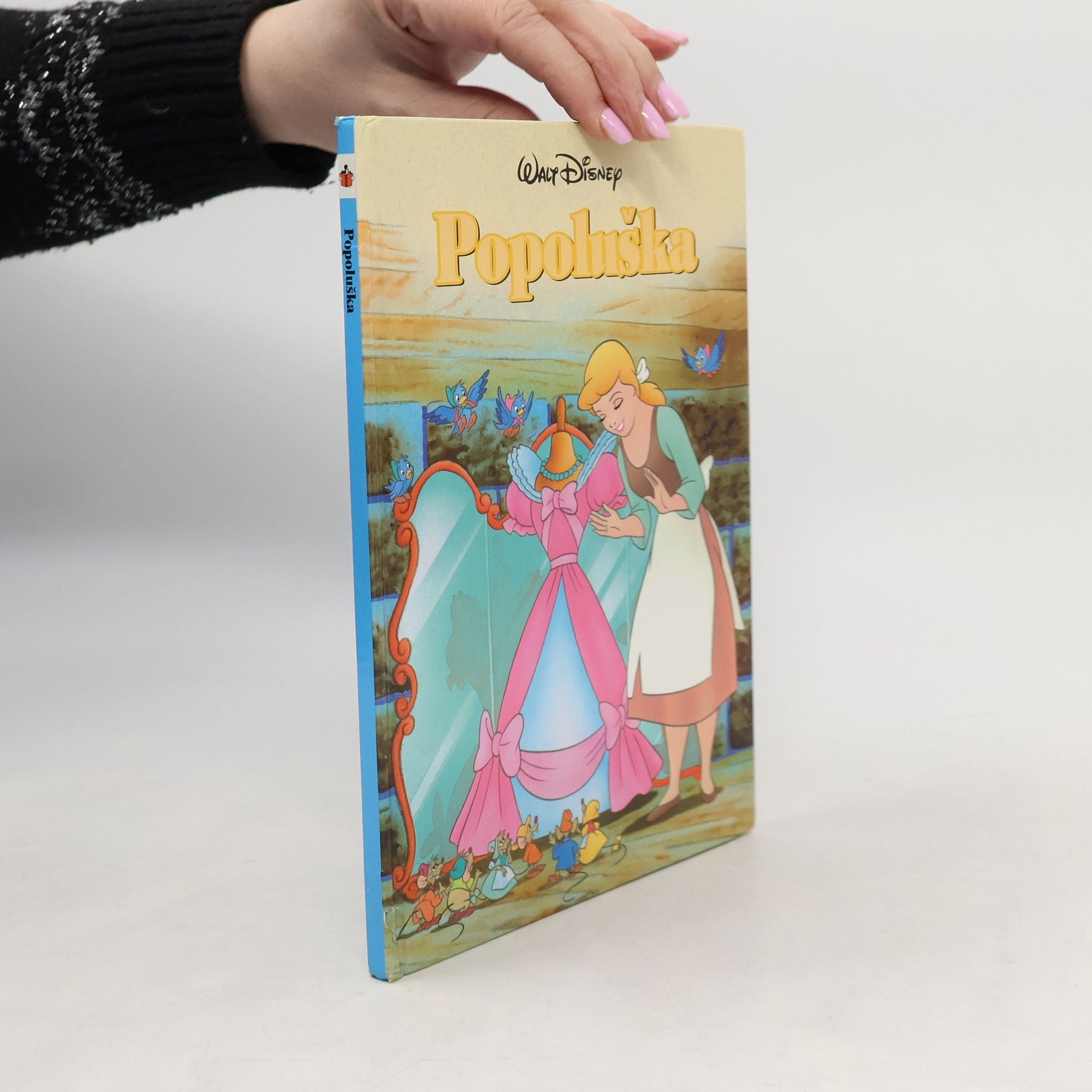 Autorenkollektiv Popoluška