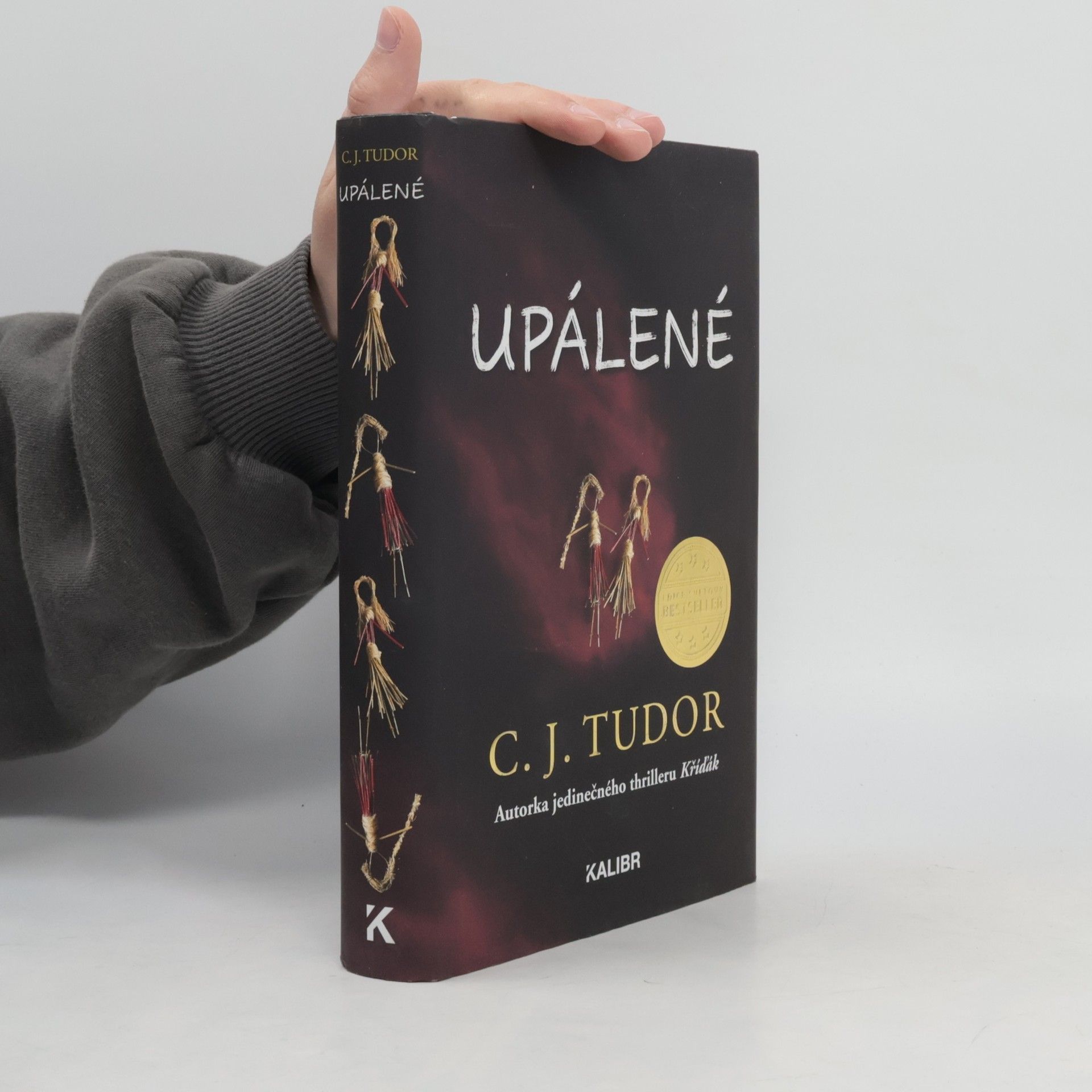 C. J. Tudor Upálené