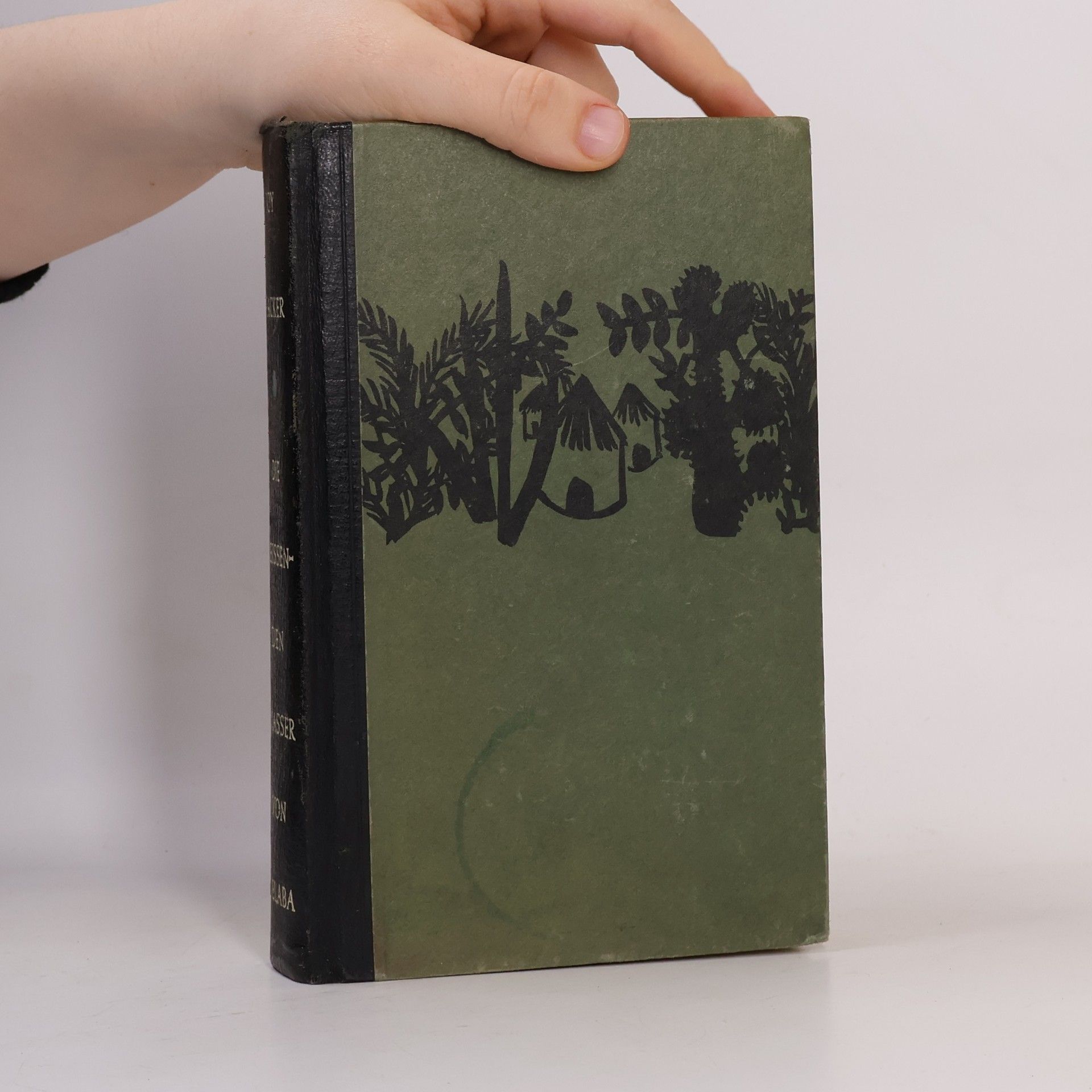 Joy Packer Die reissenden Wasser von Velaba