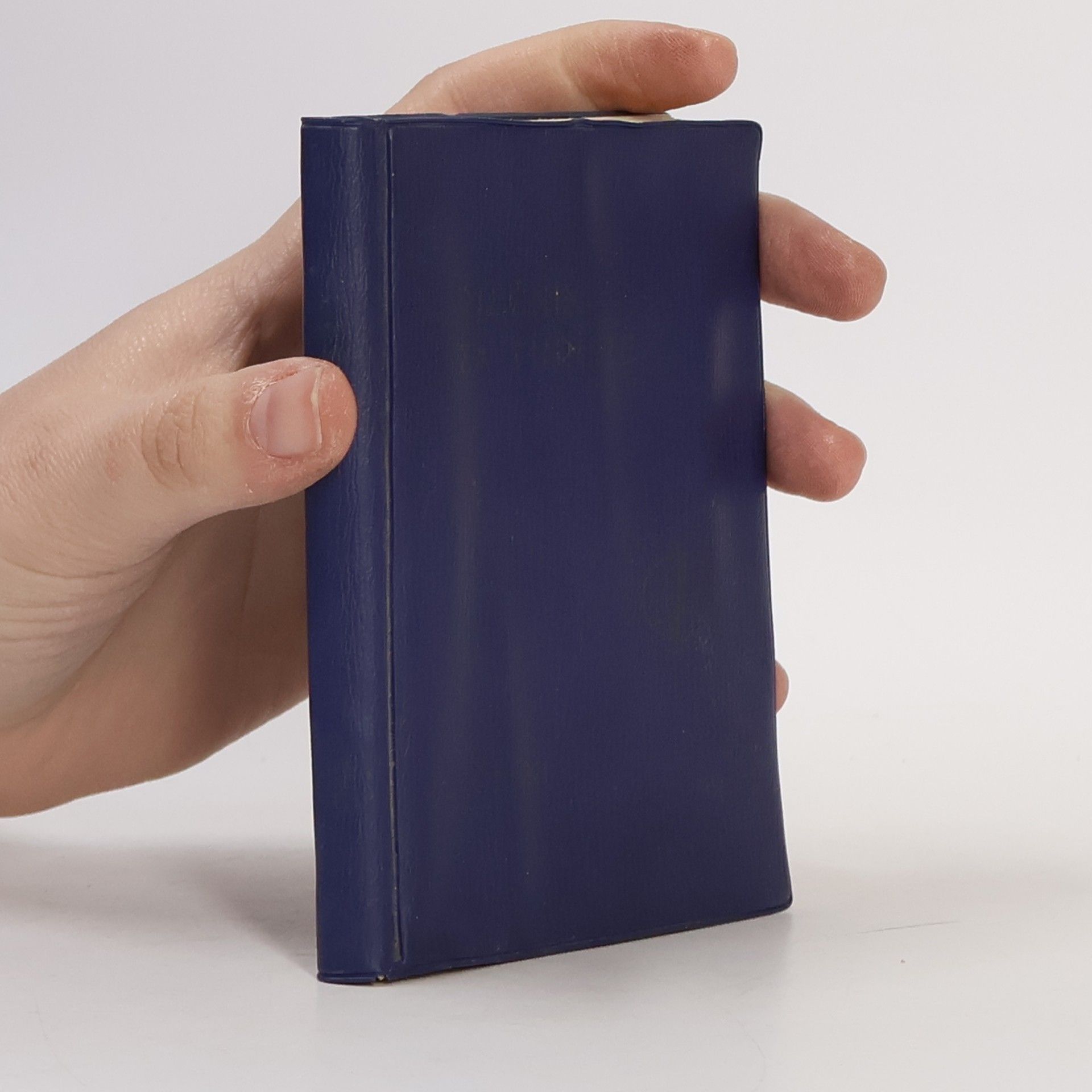 Autorenkollektiv Rečnik češko-srpskohrvatski i srpskohrvatsko-češki