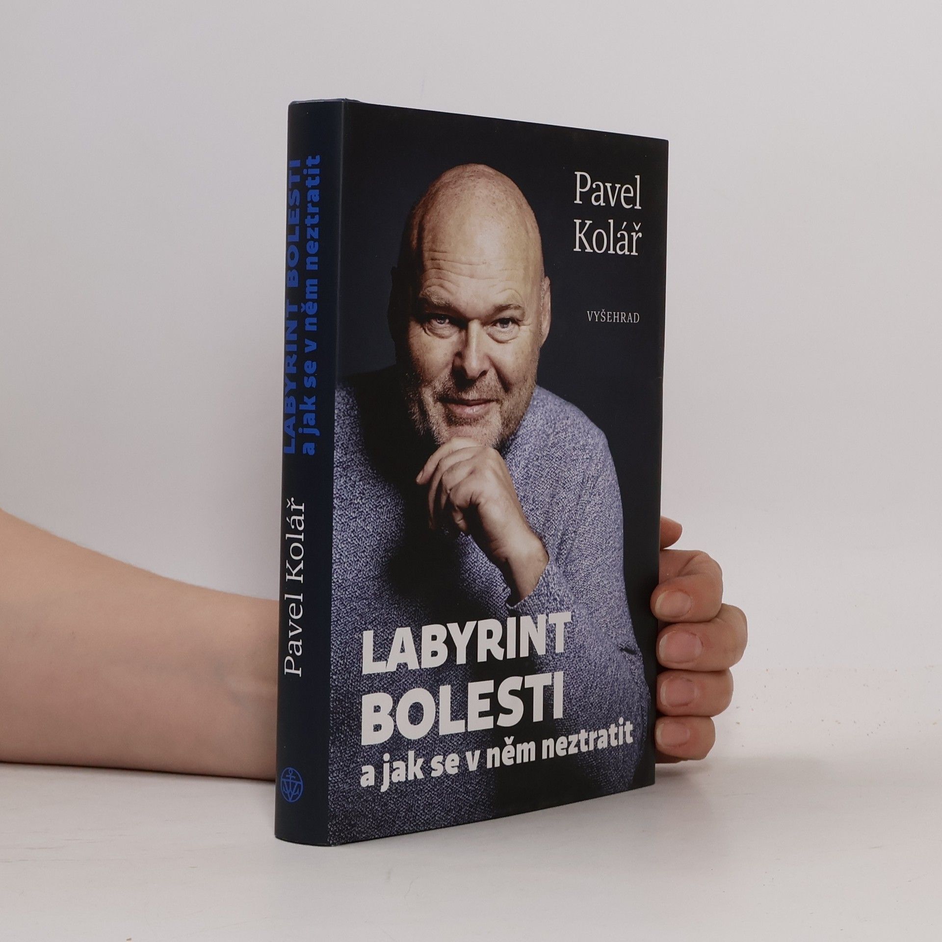 Pavel Kolář Labyrint bolesti a jak se v něm neztratit
