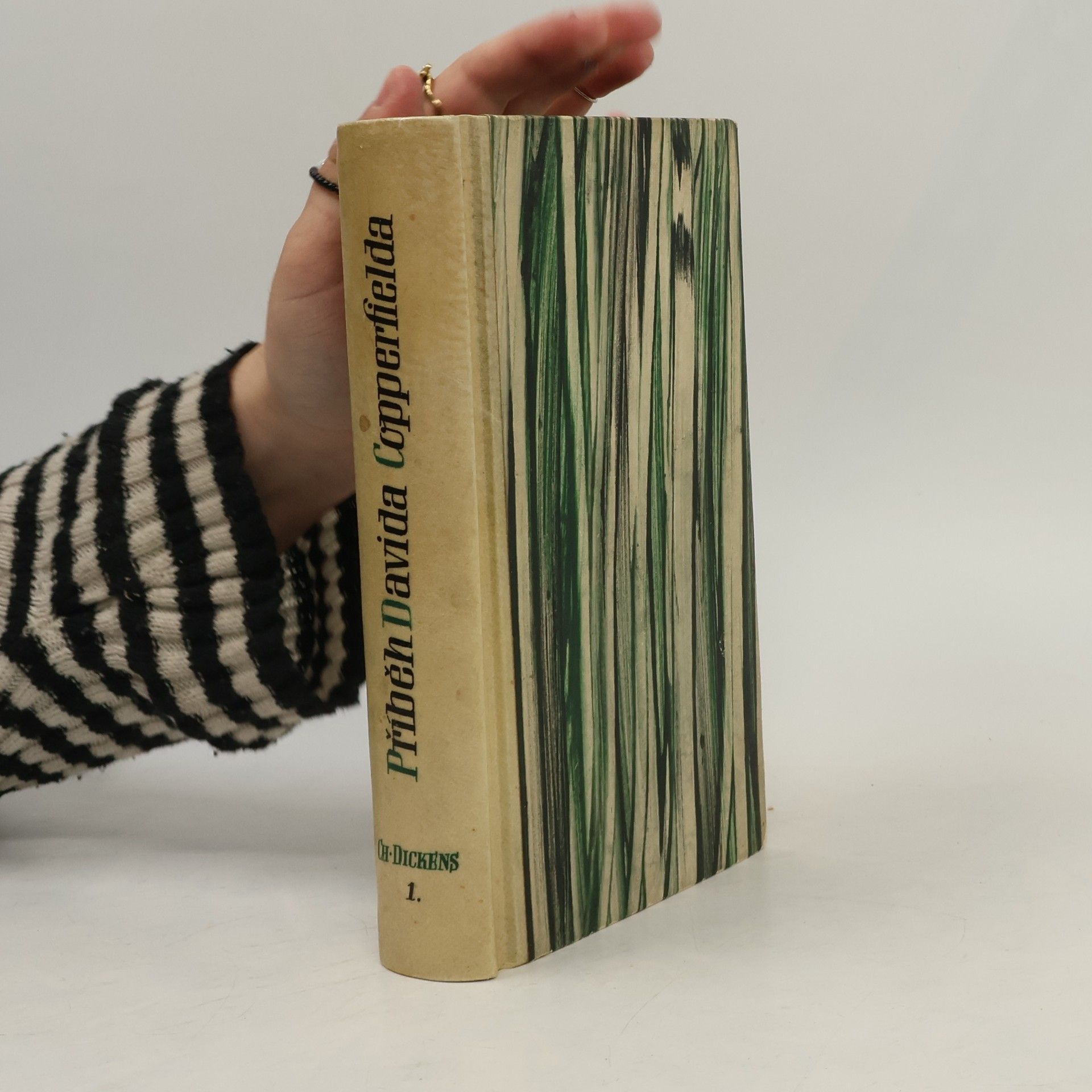 Charles Dickens Příběh Davida Copperfielda I.
