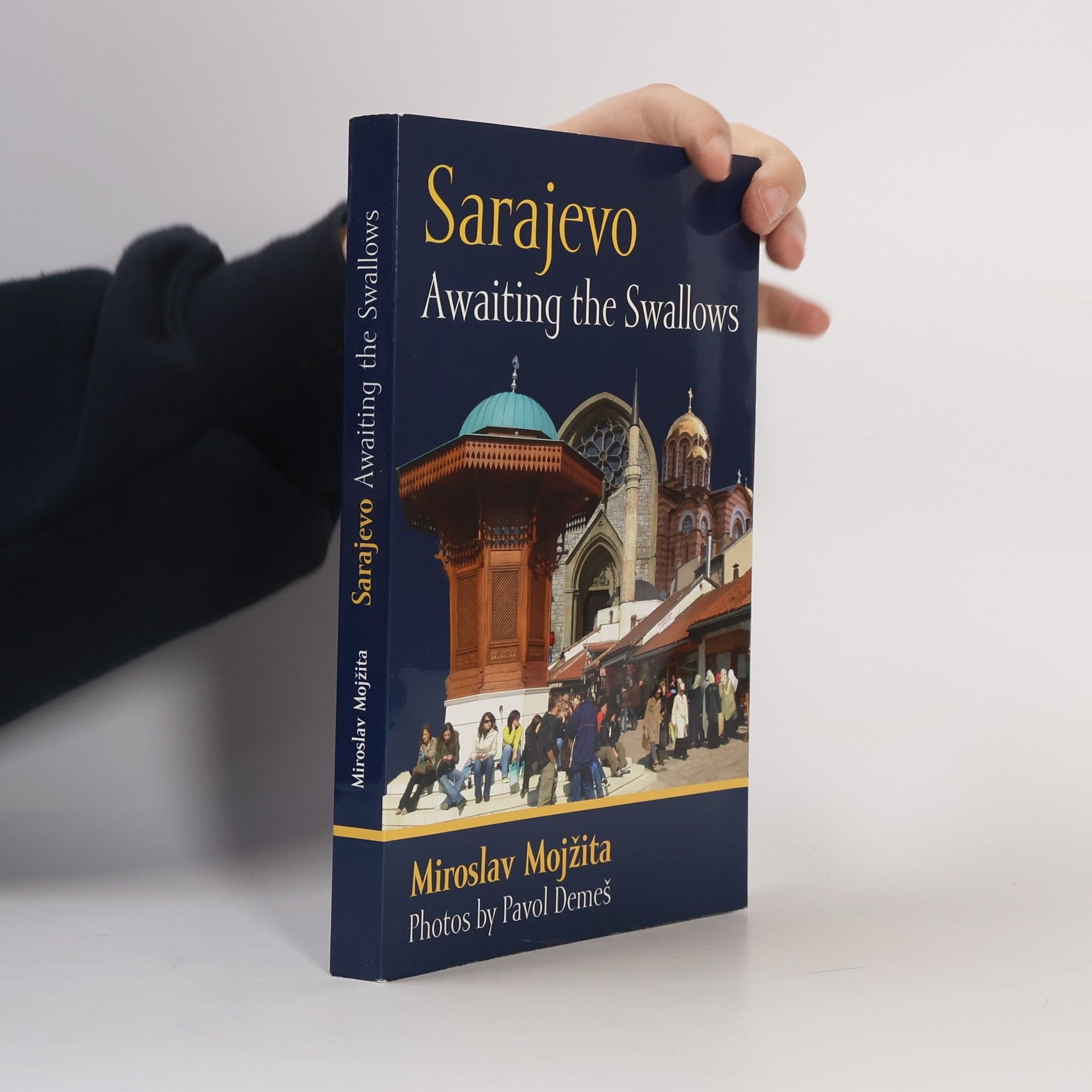 Miroslav Mojžita Sarajevo: Awaiting the Swallows