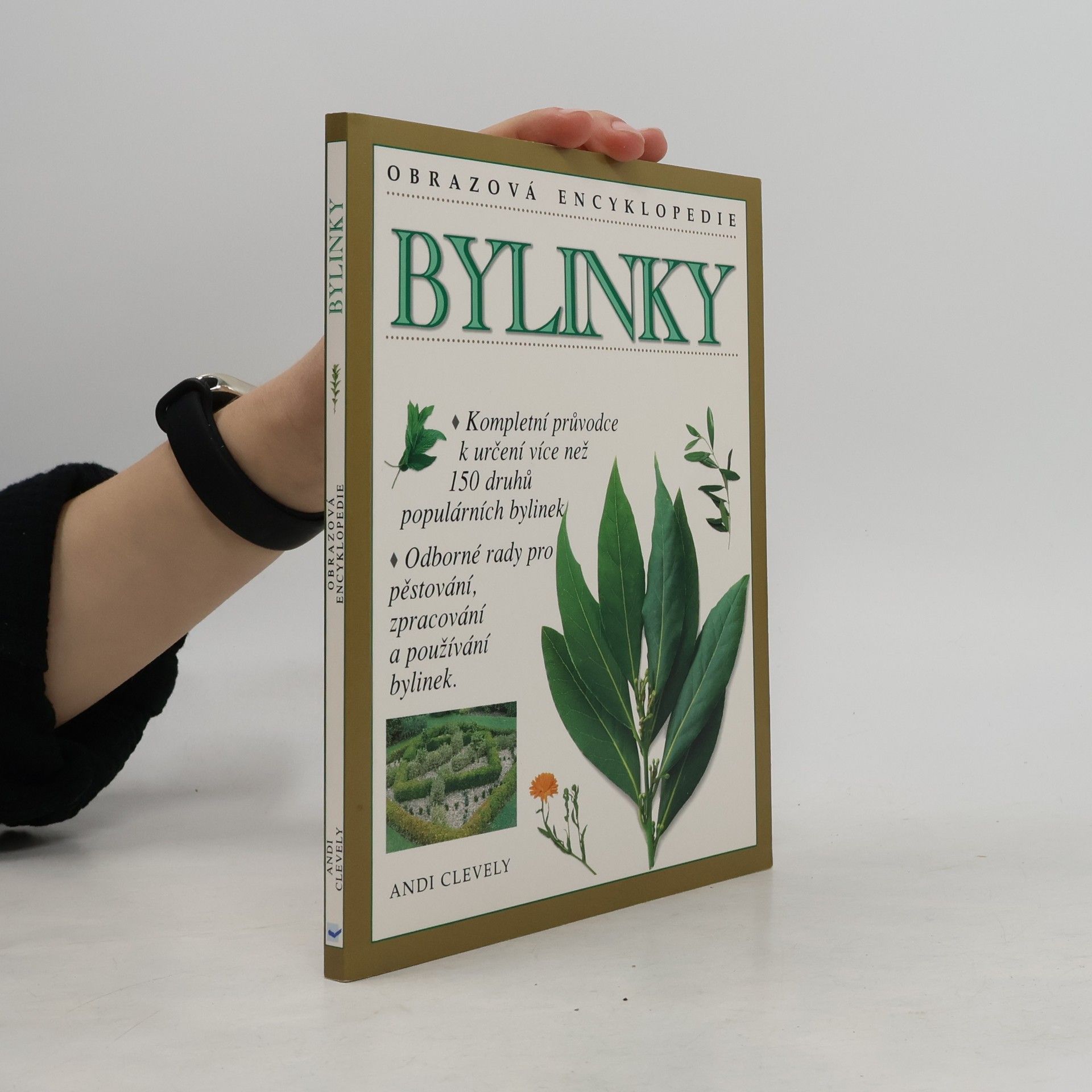 Bylinky