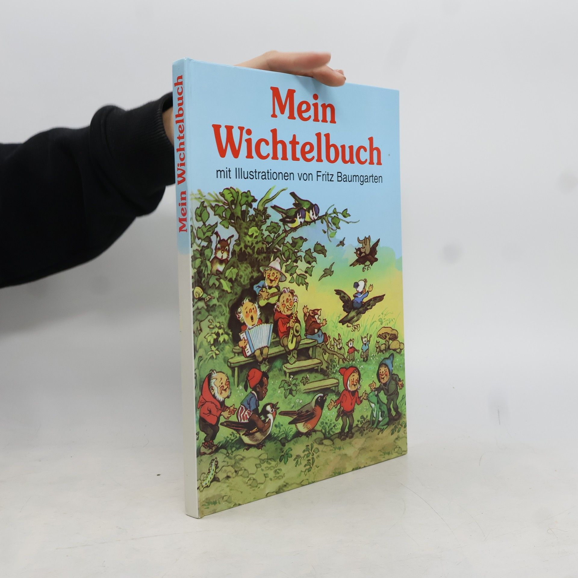 Wolfgang Mennel Mein Wichtelbuch