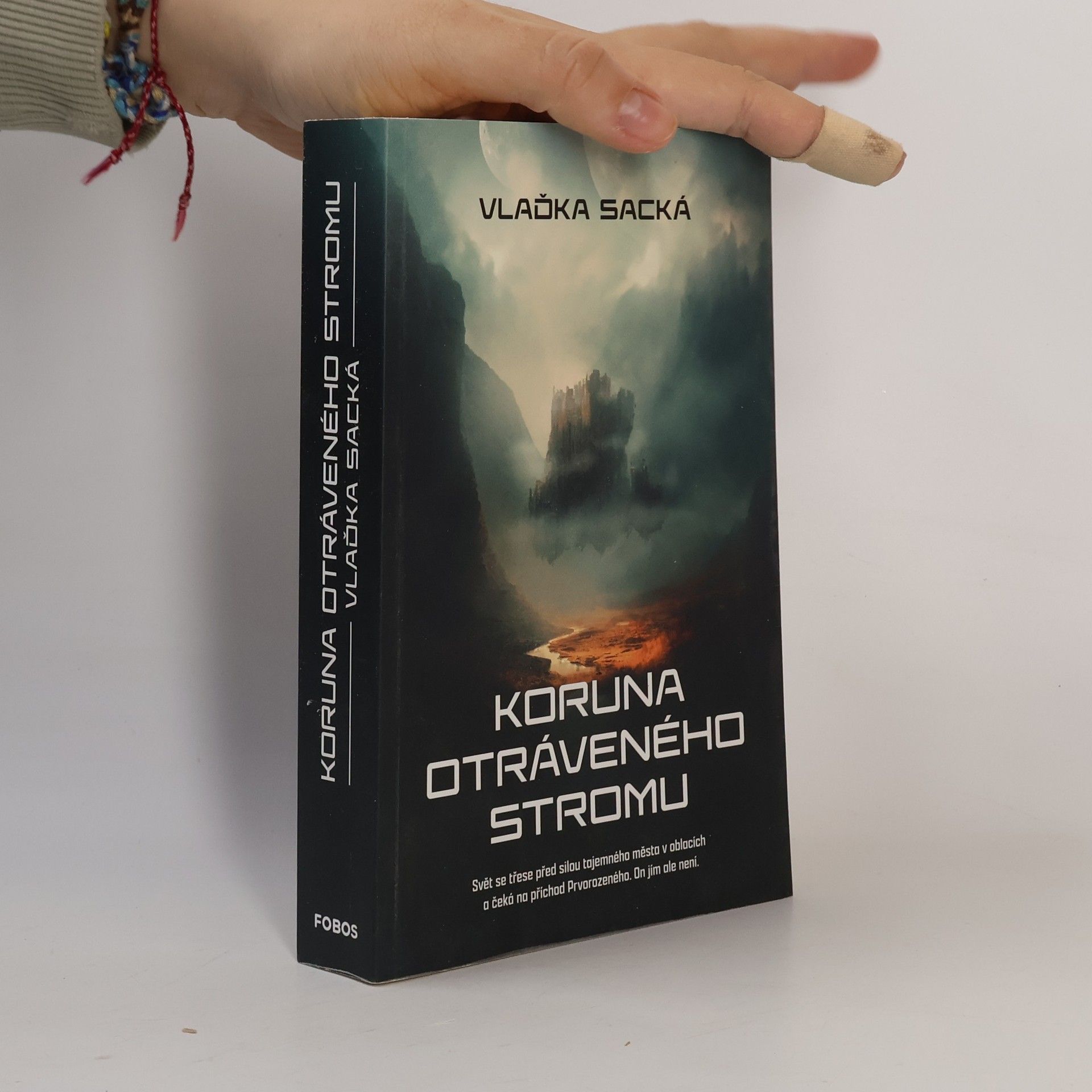 Vlaďka Sacká Koruna otráveného stromu
