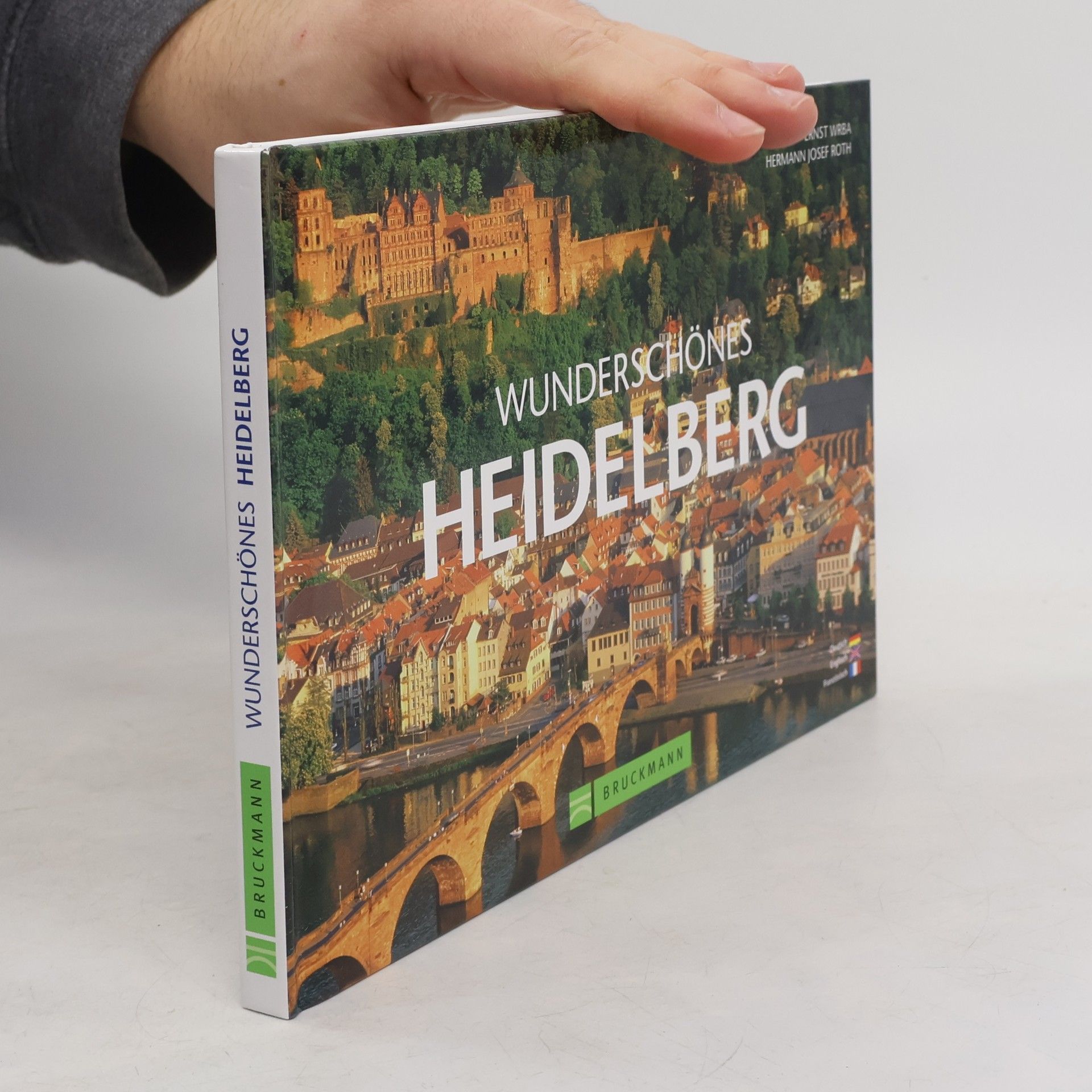 Wunderschönes Heidelberg