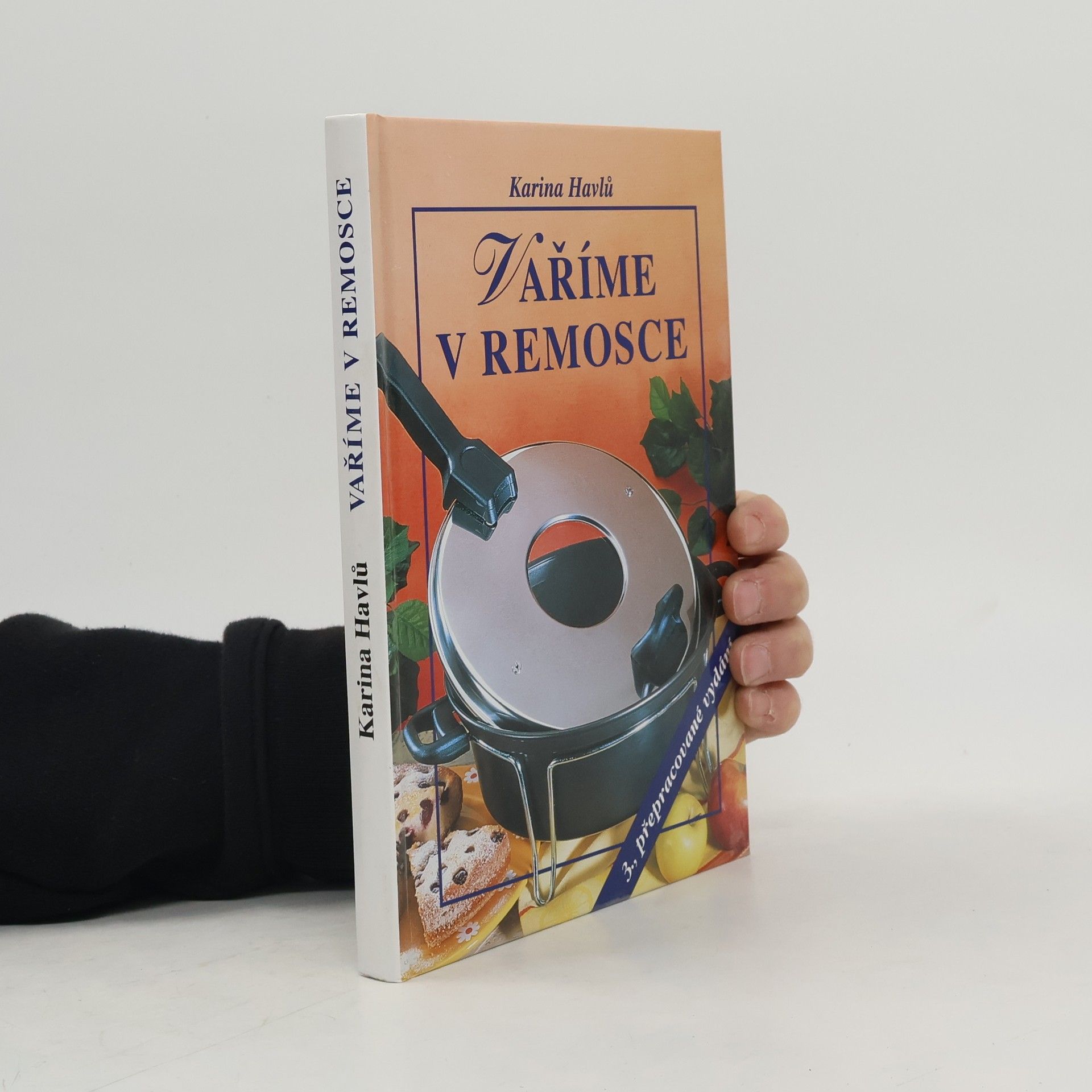 Karina Havlů Vaříme v remosce