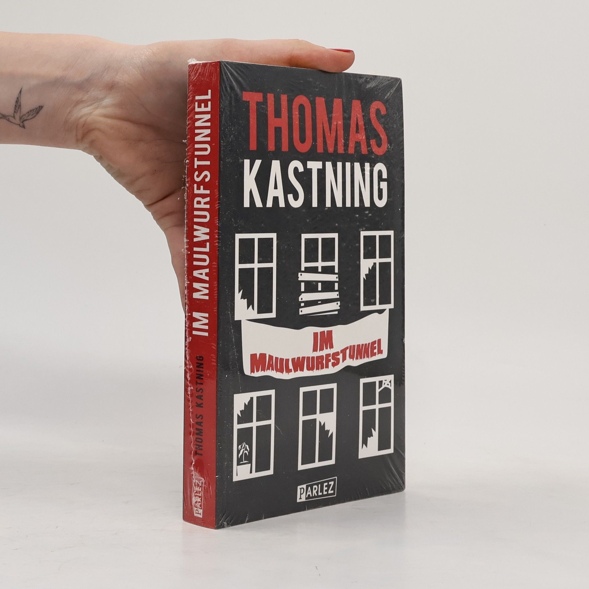 Thomas Kastning Im Maulwurfstunnel