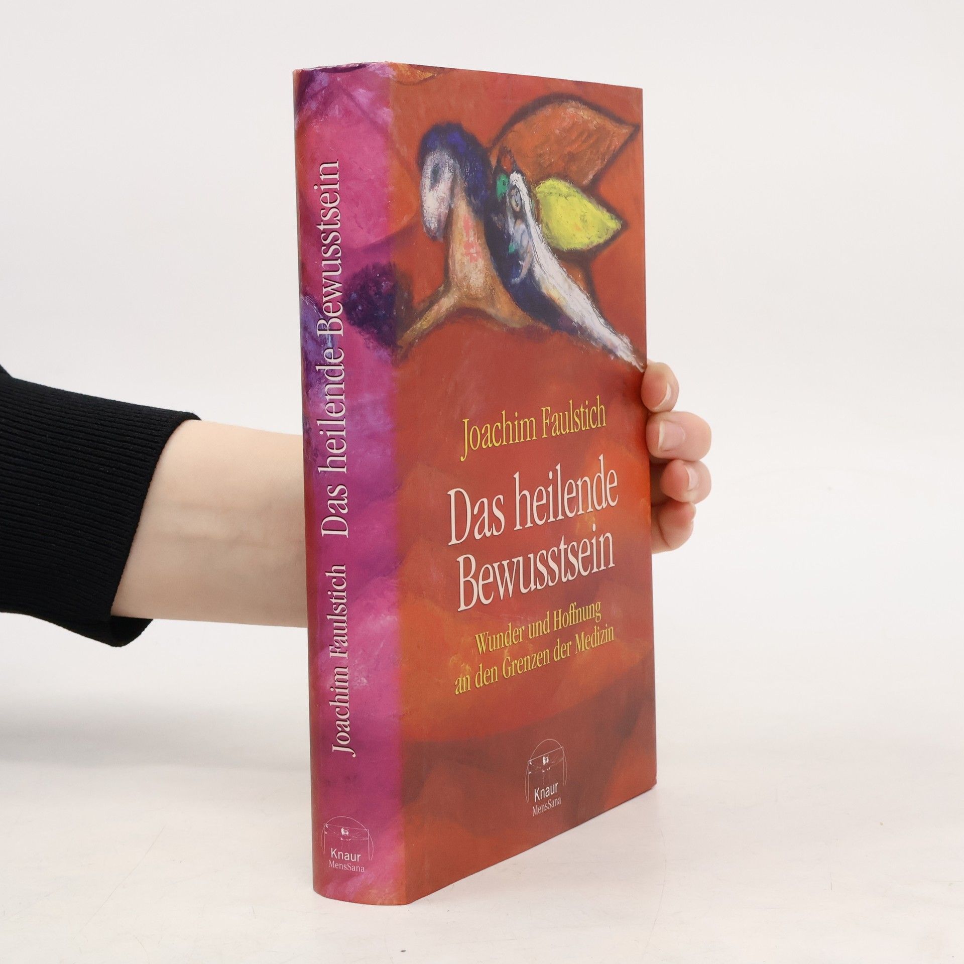 Joachim Faulstich Das heilende Bewusstsein