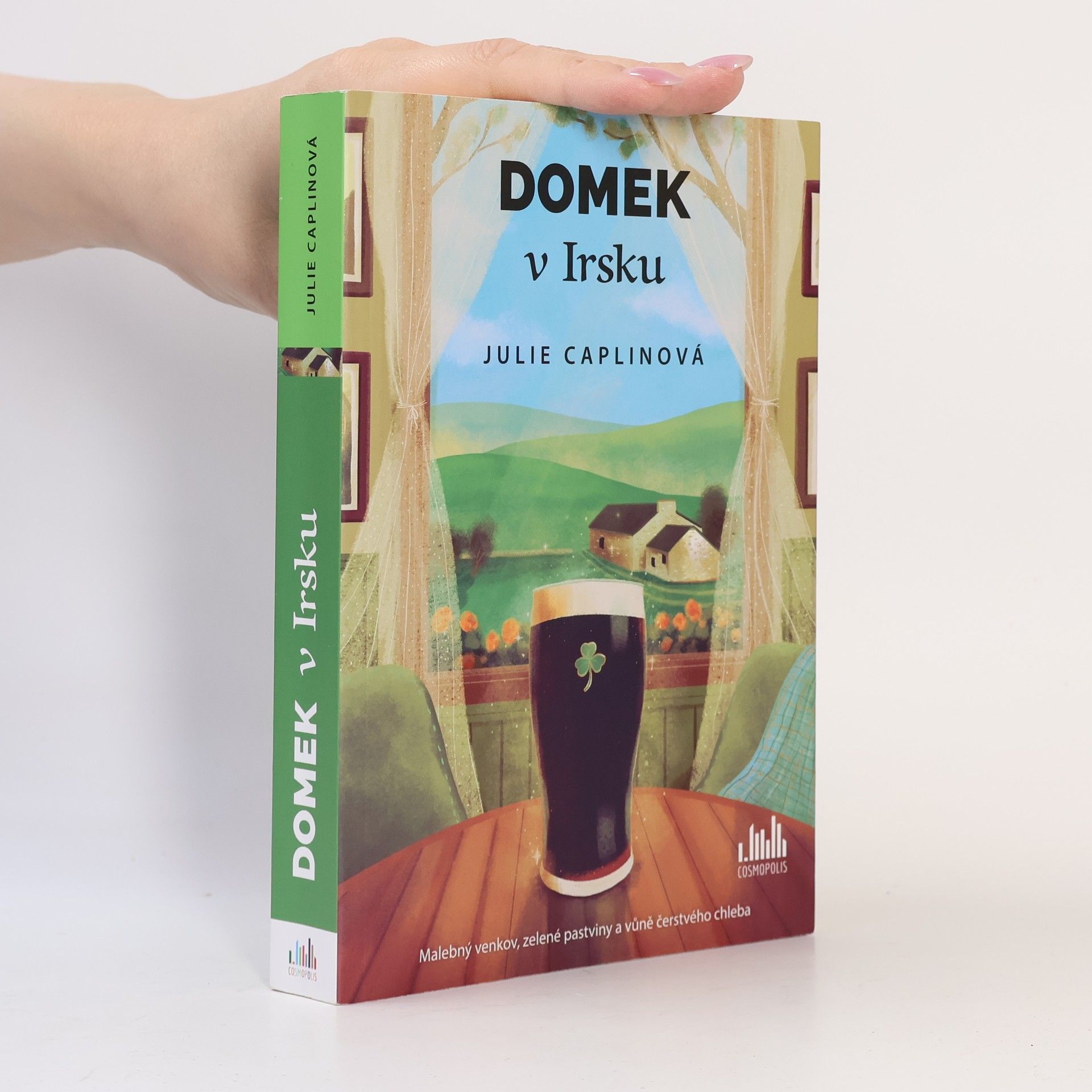 Julie Caplin Domek v Irsku