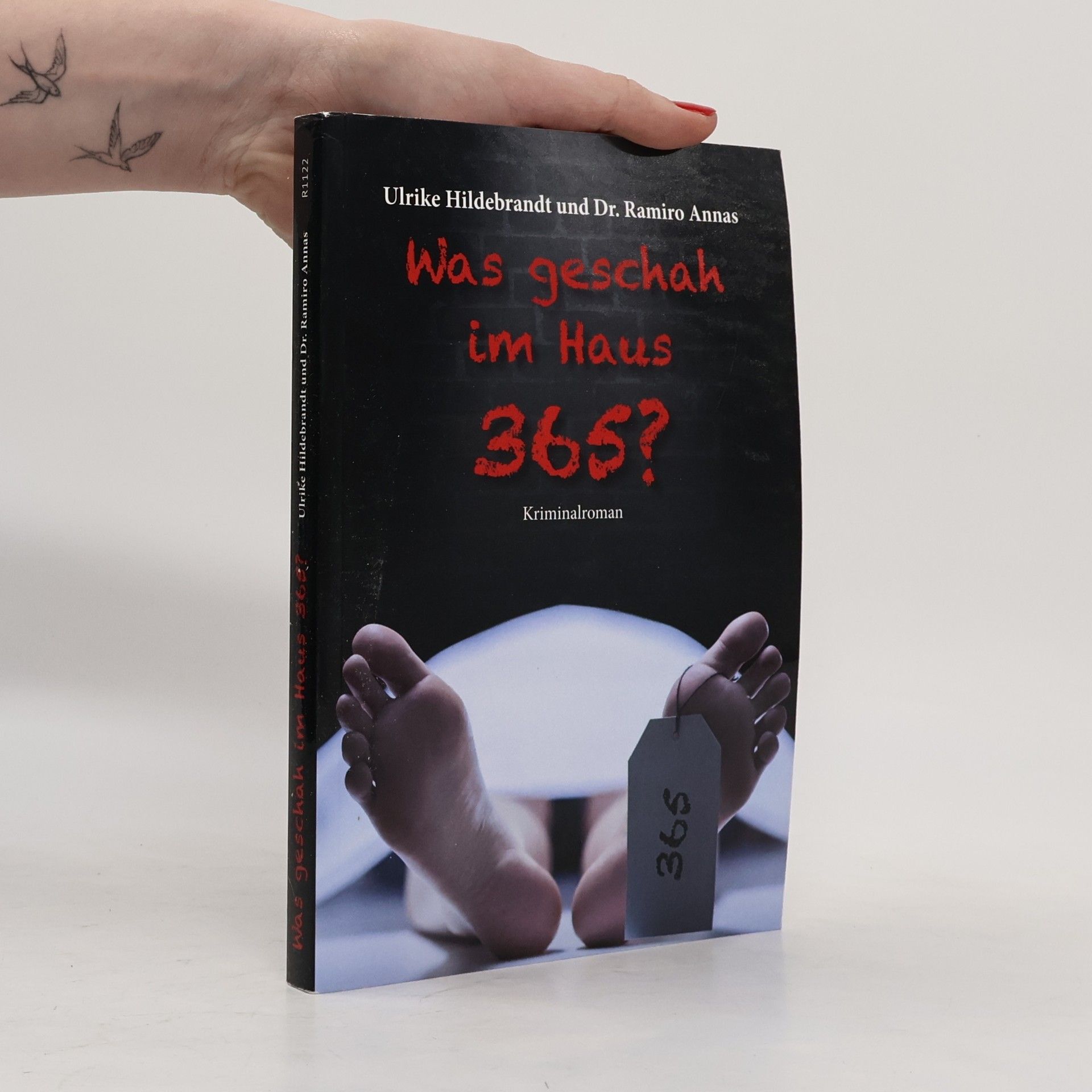 Ulrike Hildebrandt Was geschah im Haus 365?