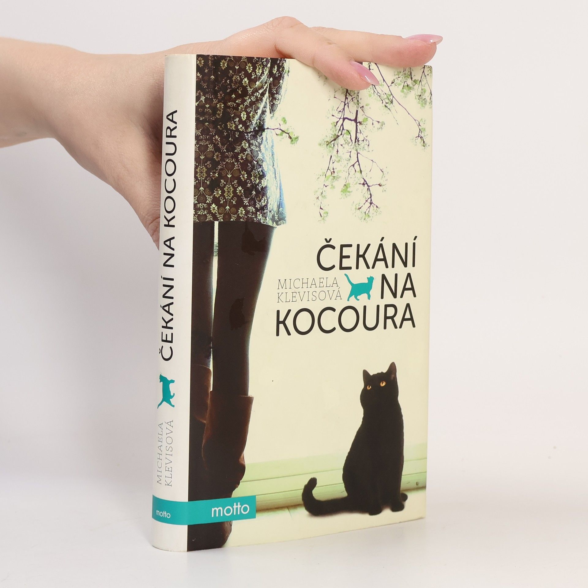 Michaela Klevisová Čekání na kocoura: Příběhy o kočkách a jejich lidech