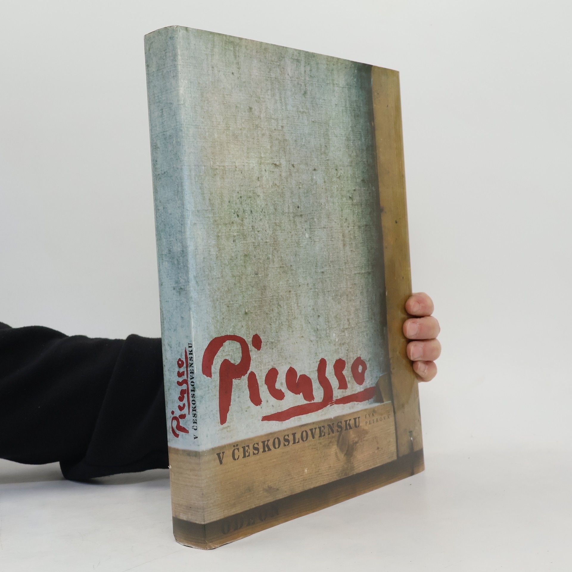 Eva Petrová Picasso v Československu