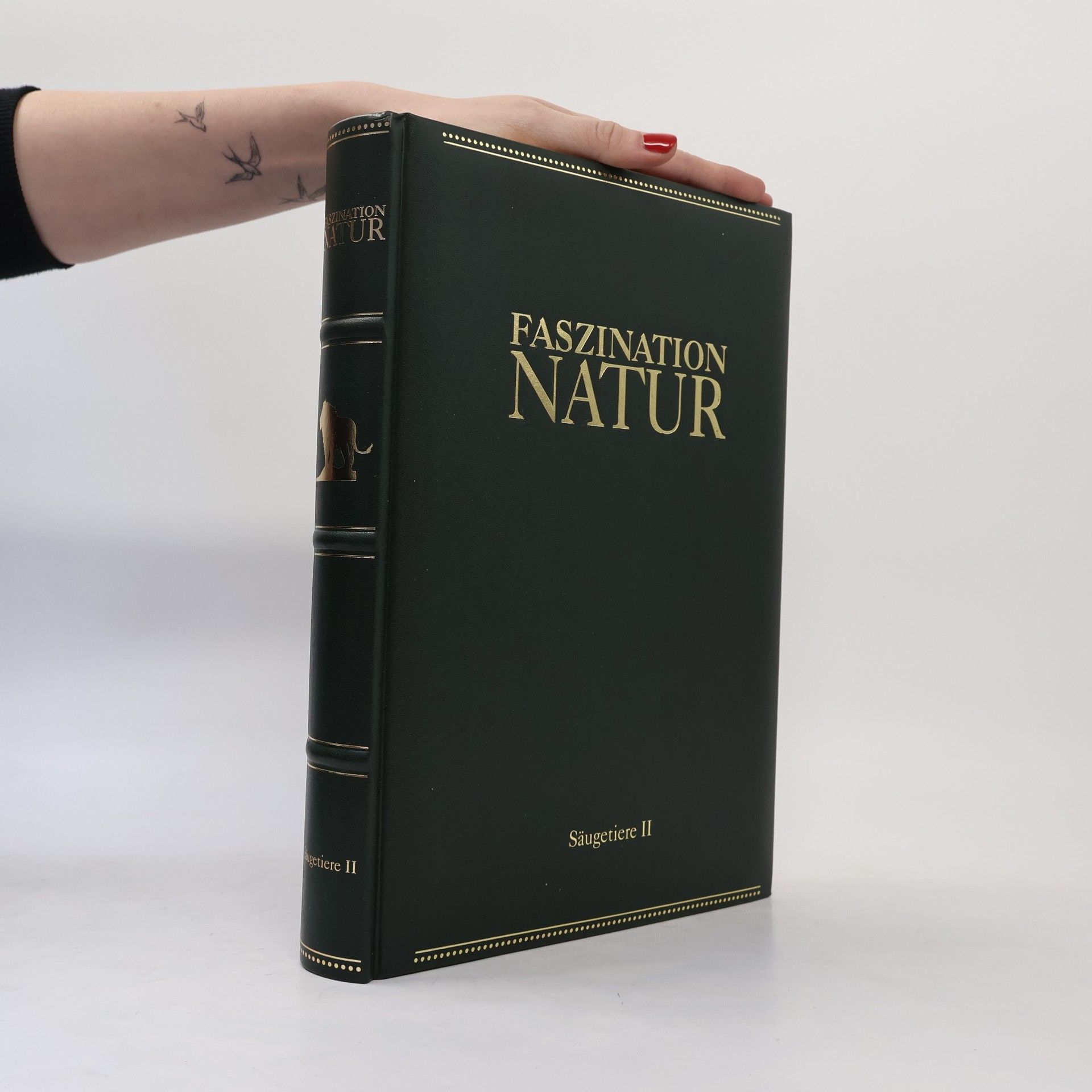 Autorenkollektiv Faszination Natur. Säugetiere II