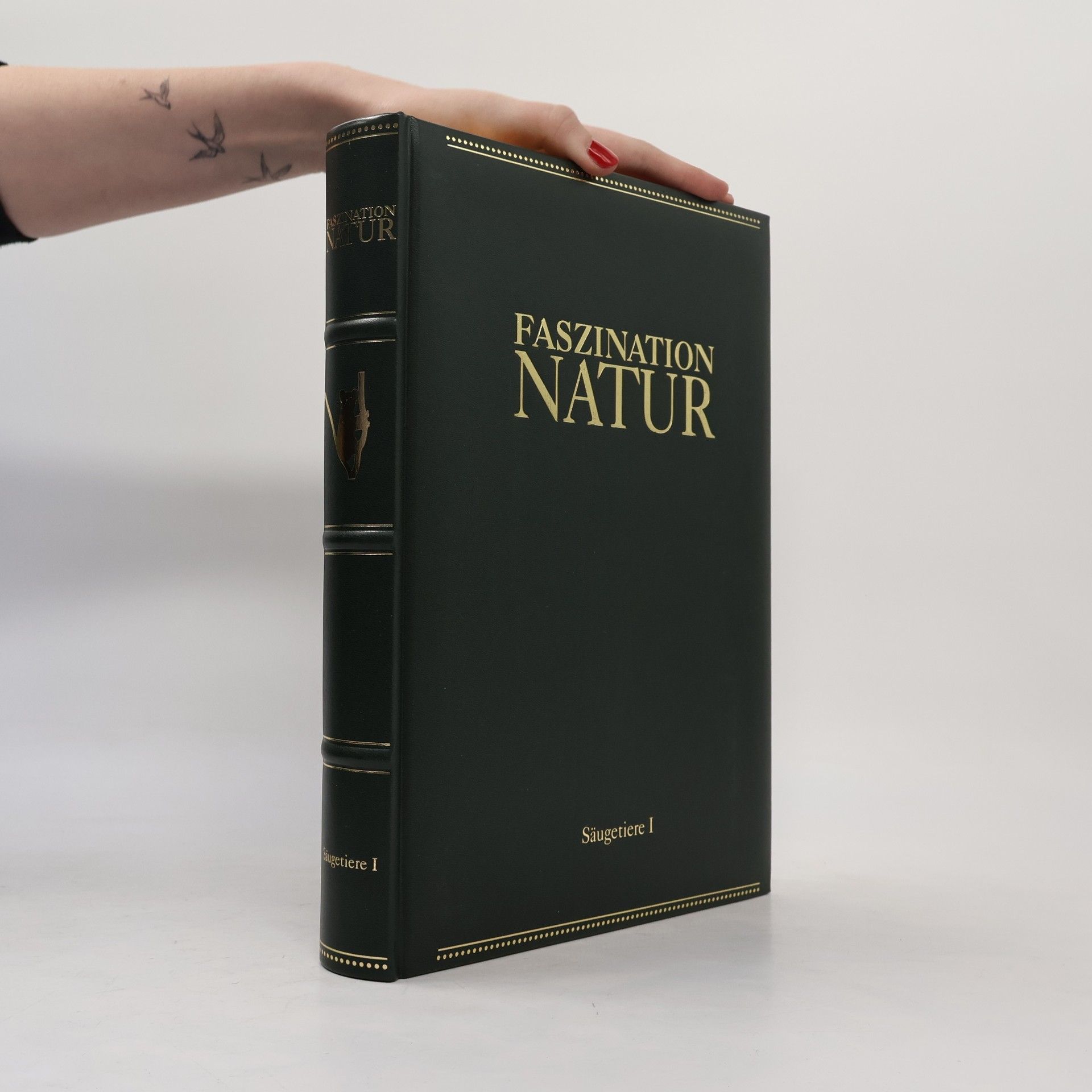 Autorenkollektiv Faszination Natur. Säugetiere I