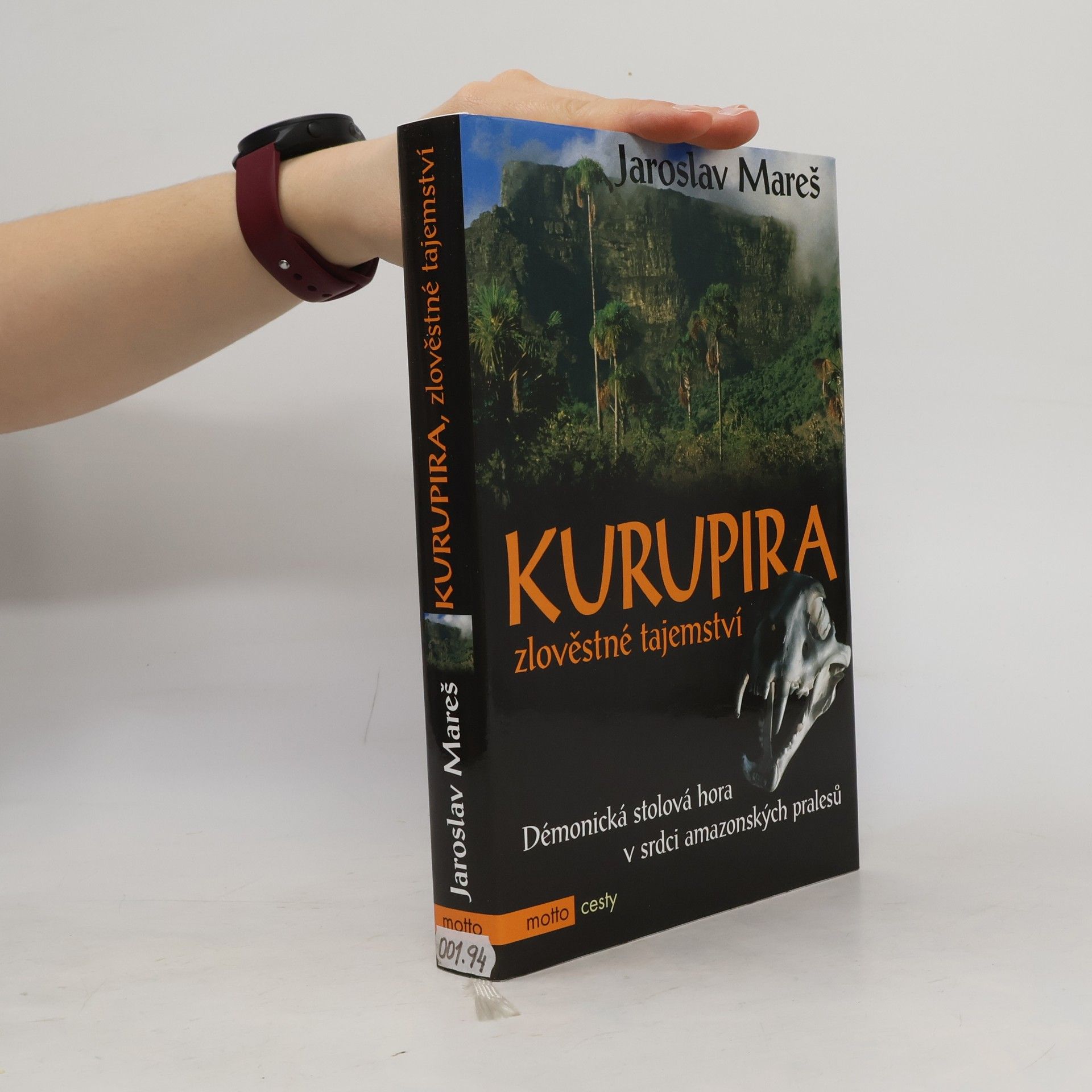 Jaroslav Mareš Kurupira