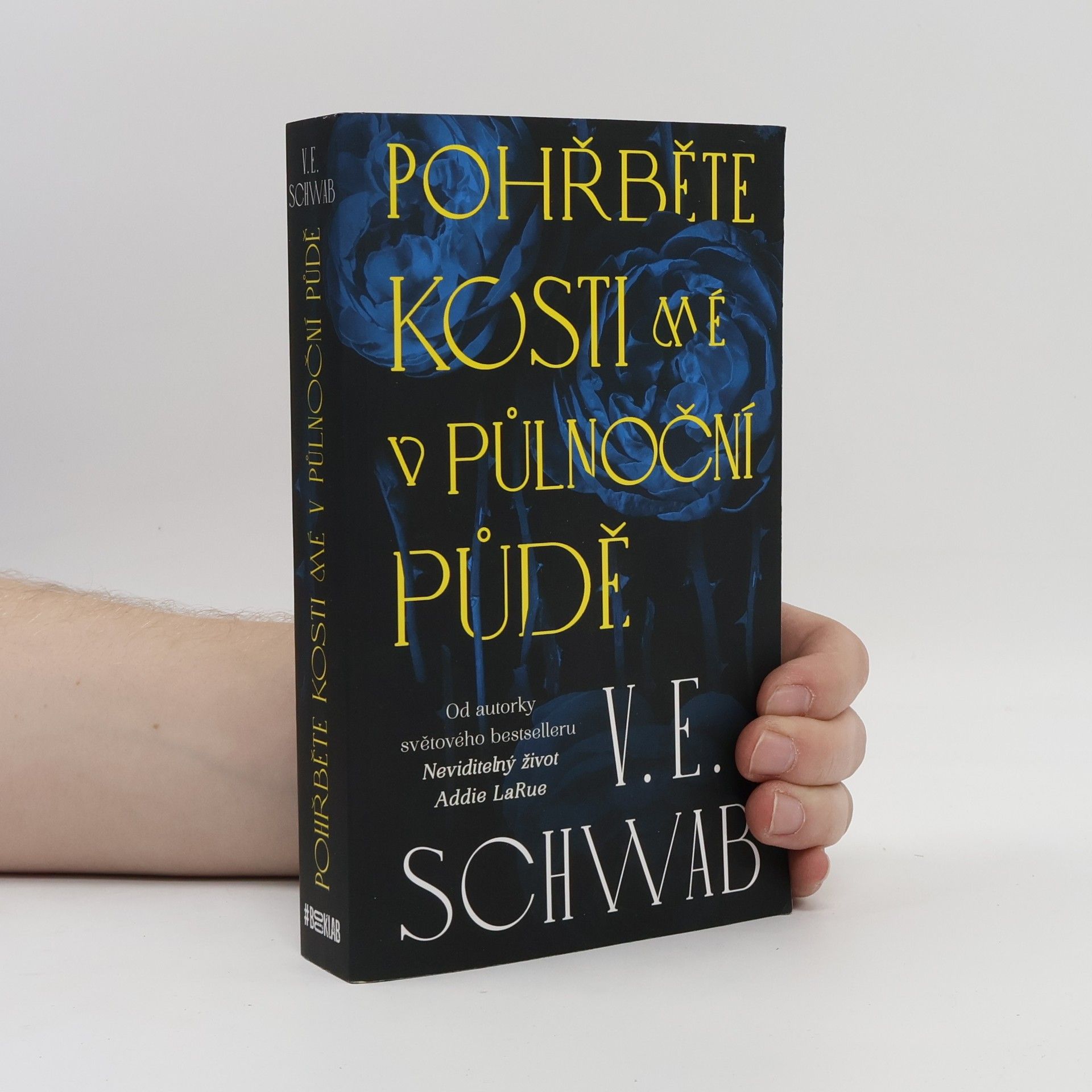 Victoria Schwabová Pohřběte kosti mé v půlnoční půdě