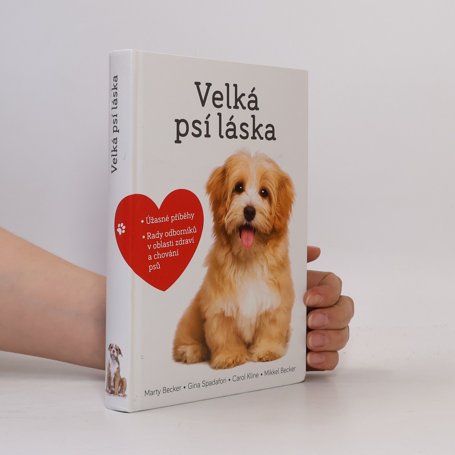 Marty Becker Velká psí láska: Příběhy, rady a úžasné fotografie psích bytostí