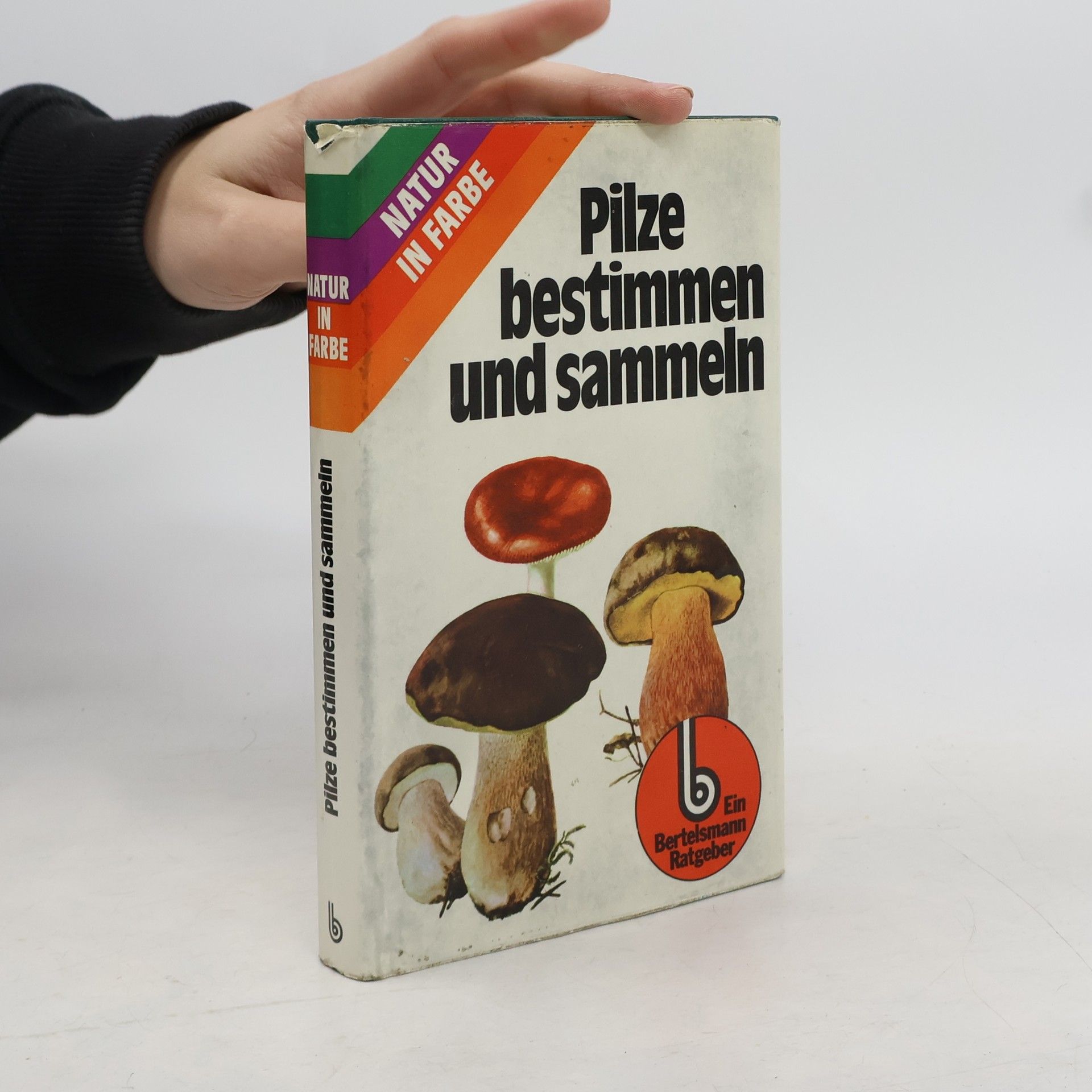 Mirko Svrček Pilze bestimmen und sammeln